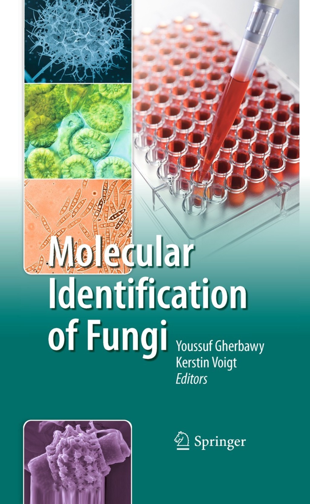 Molecular Identification of Fungi 1st Edition â€“ PDF/EPUB Version Downloadable
