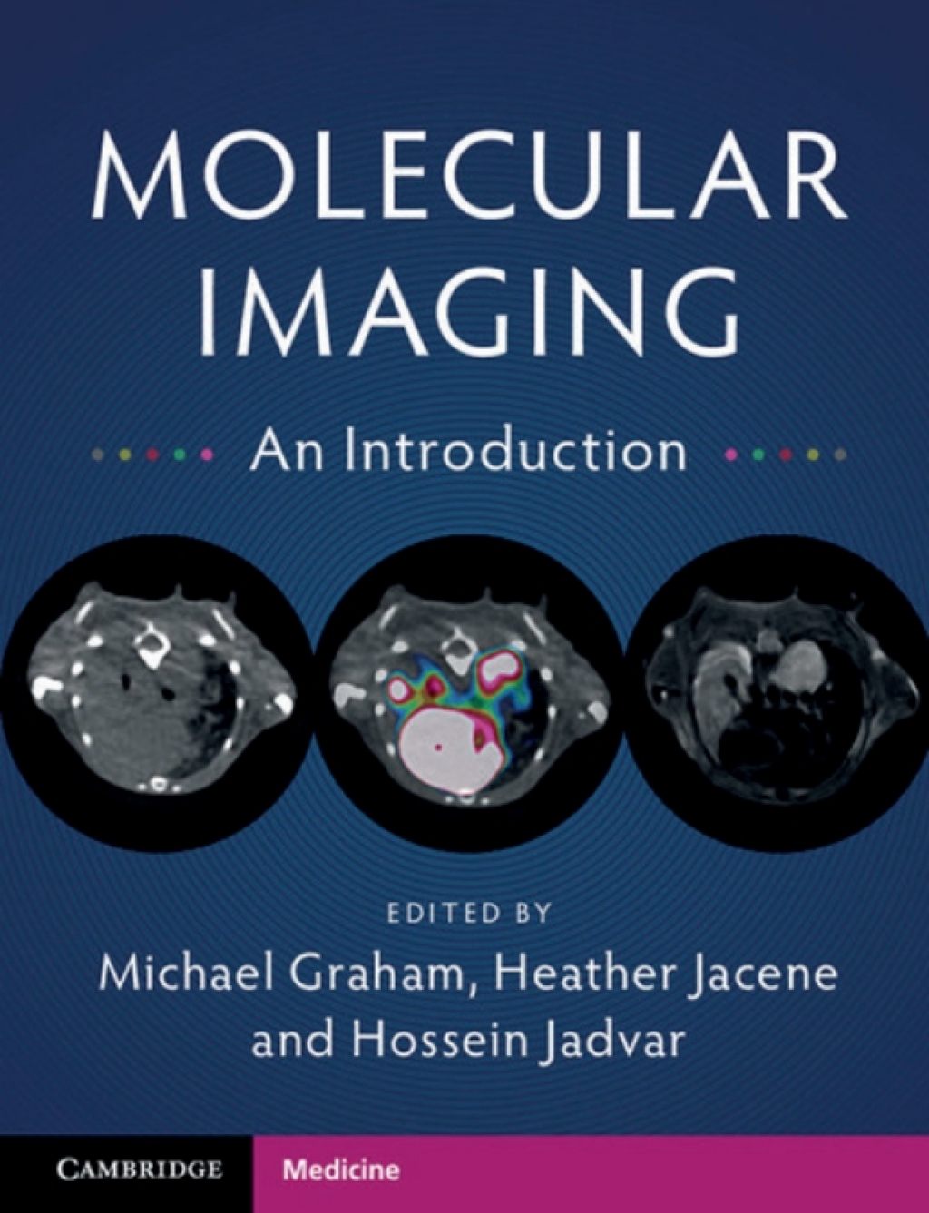 Molecular Imaging An Introduction  â€“ PDF/EPUB Version Downloadable