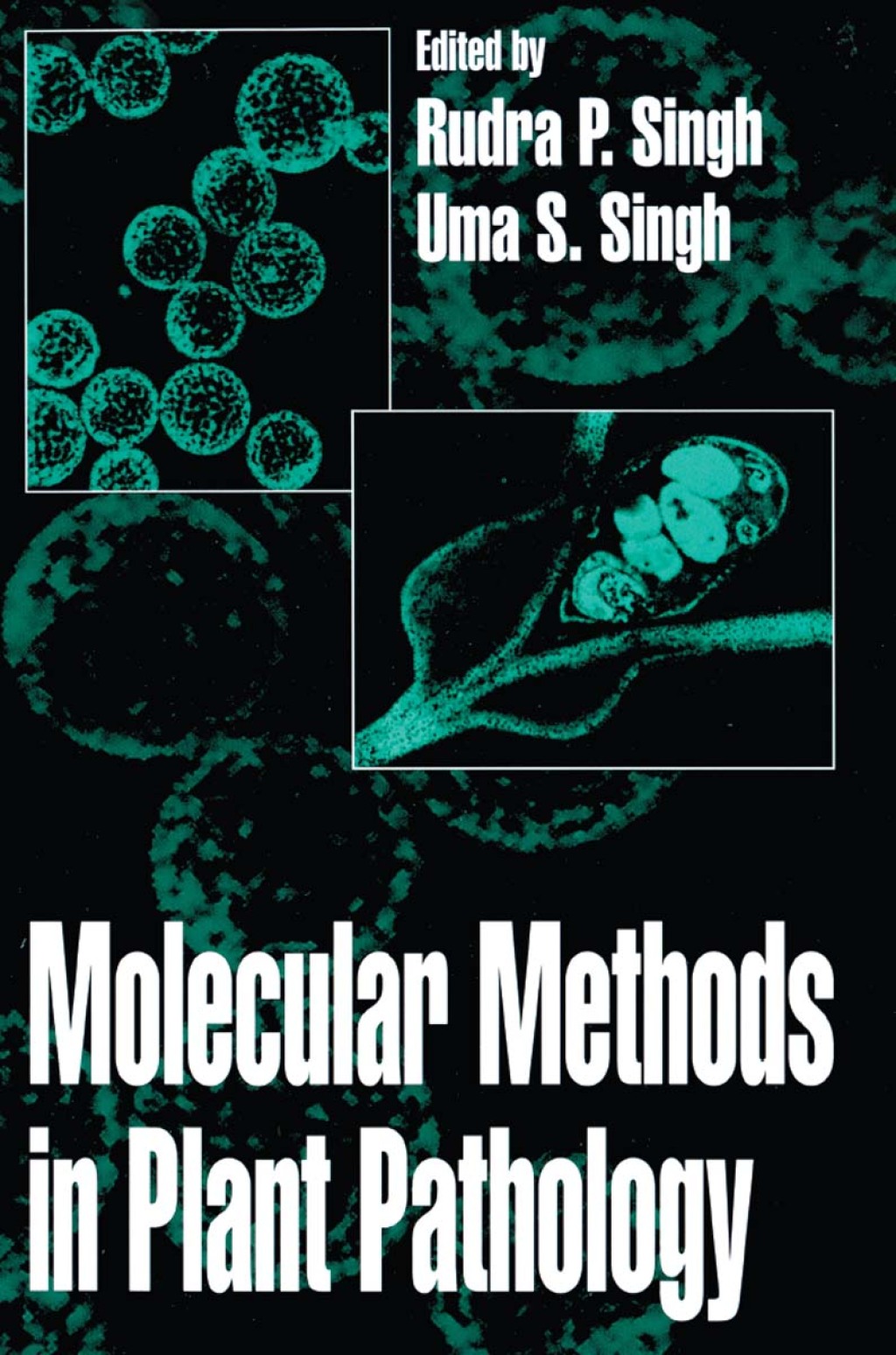 Molecular Methods in Plant Pathology 1st Edition â€“ PDF/EPUB Version Downloadable