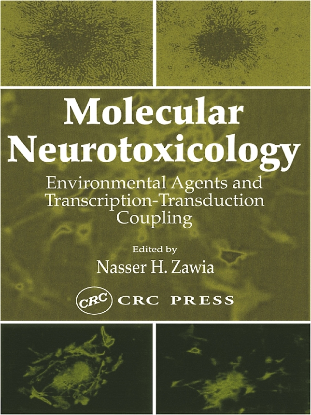 Molecular Neurotoxicology Environmental Agents and Transcription-Transduction Coupling 1st Edition â€“ PDF/EPUB Version Downloadable