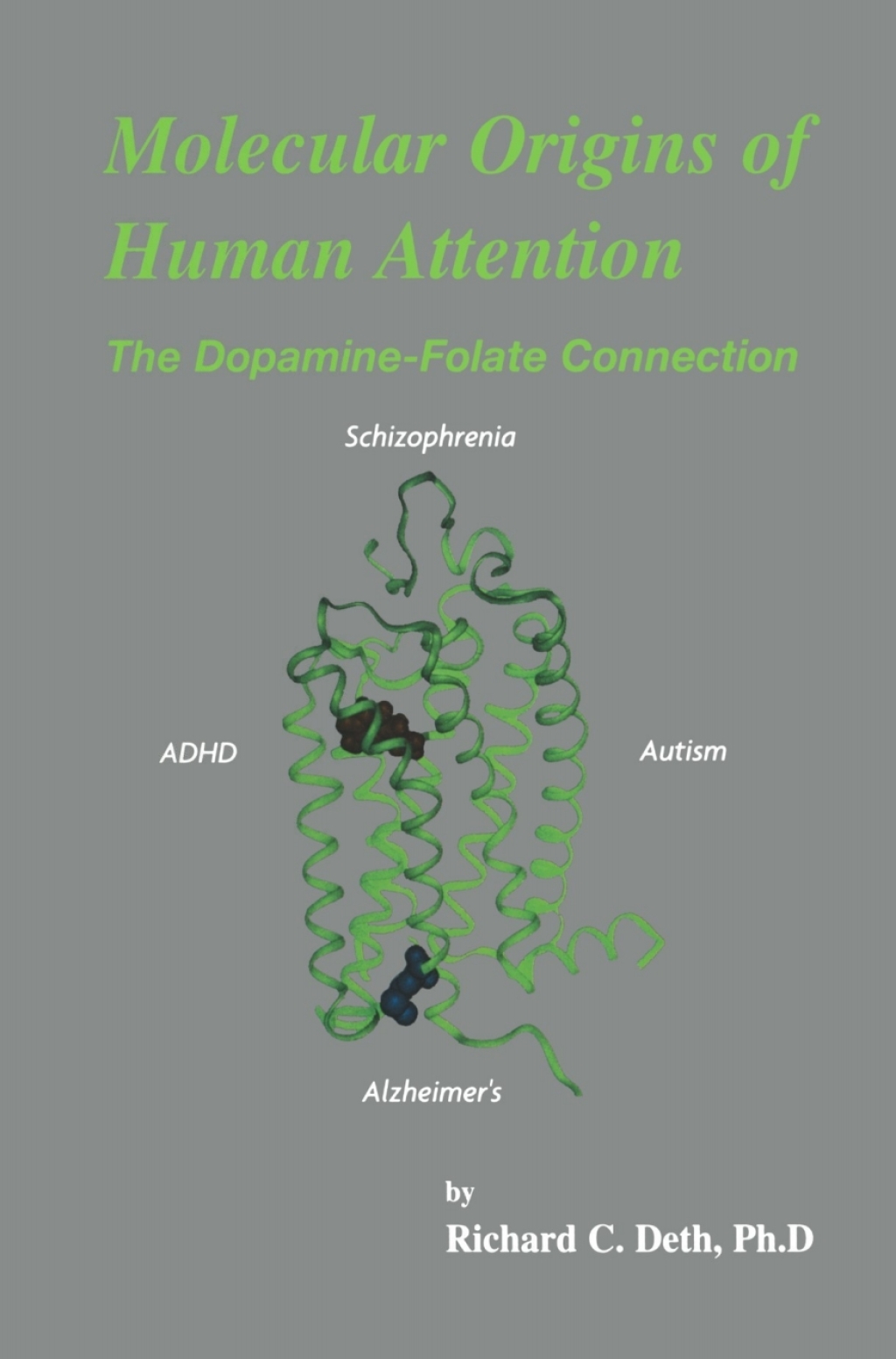 Molecular Origins of Human Attention The Dopamine-Folate Connection  â€“ PDF/EPUB Version Downloadable