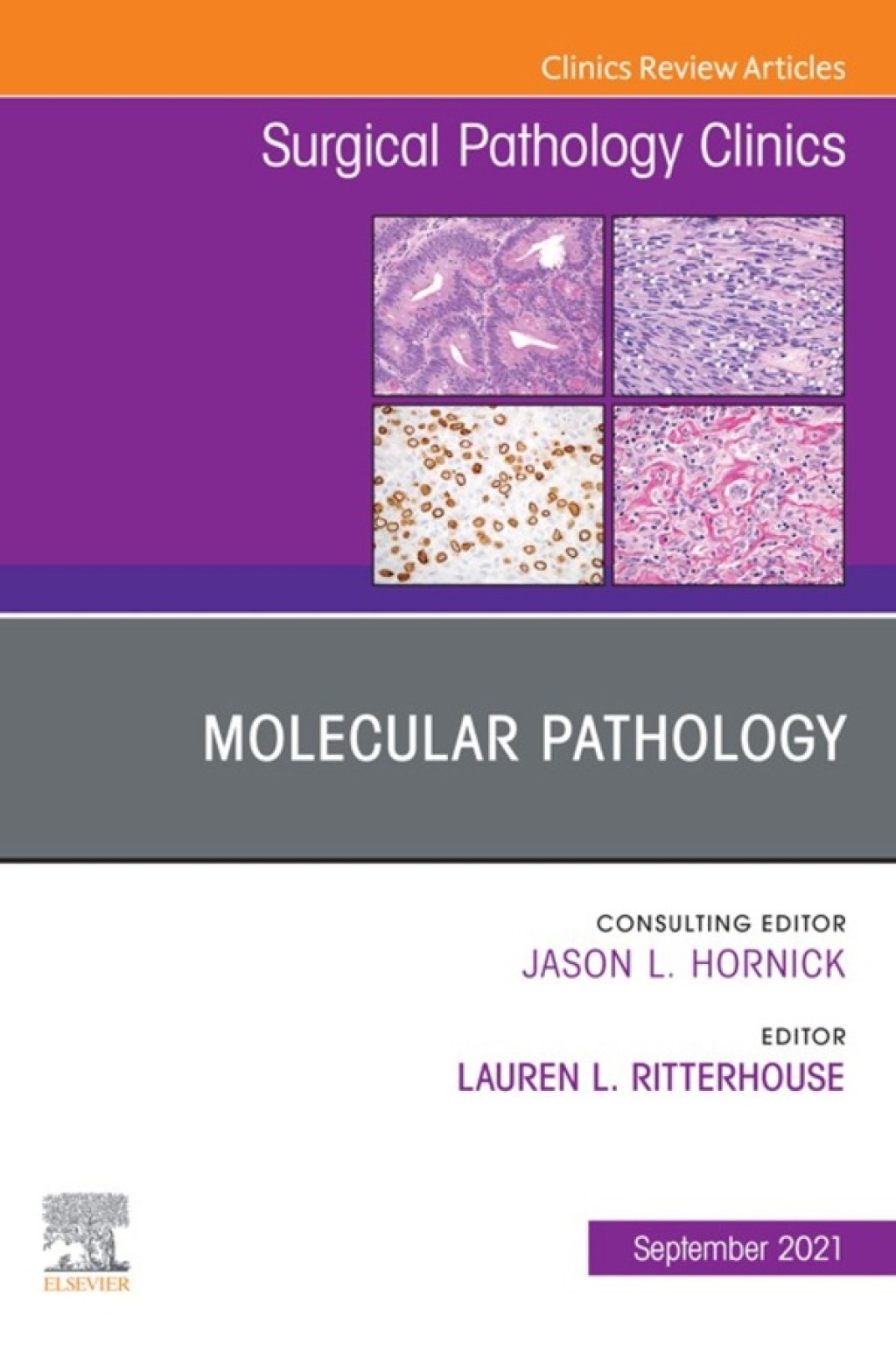 Molecular Pathology, An Issue of Surgical Pathology Clinics  â€“ PDF/EPUB Version Downloadable