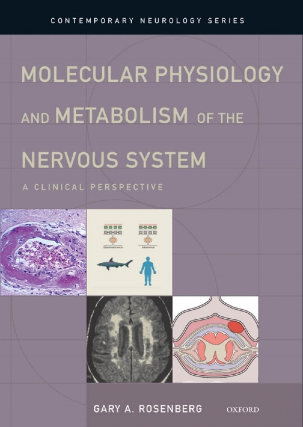 Molecular Physiology and Metabolism of the Nervous System A Clinical Perspective  â€“ PDF/EPUB Version Downloadable