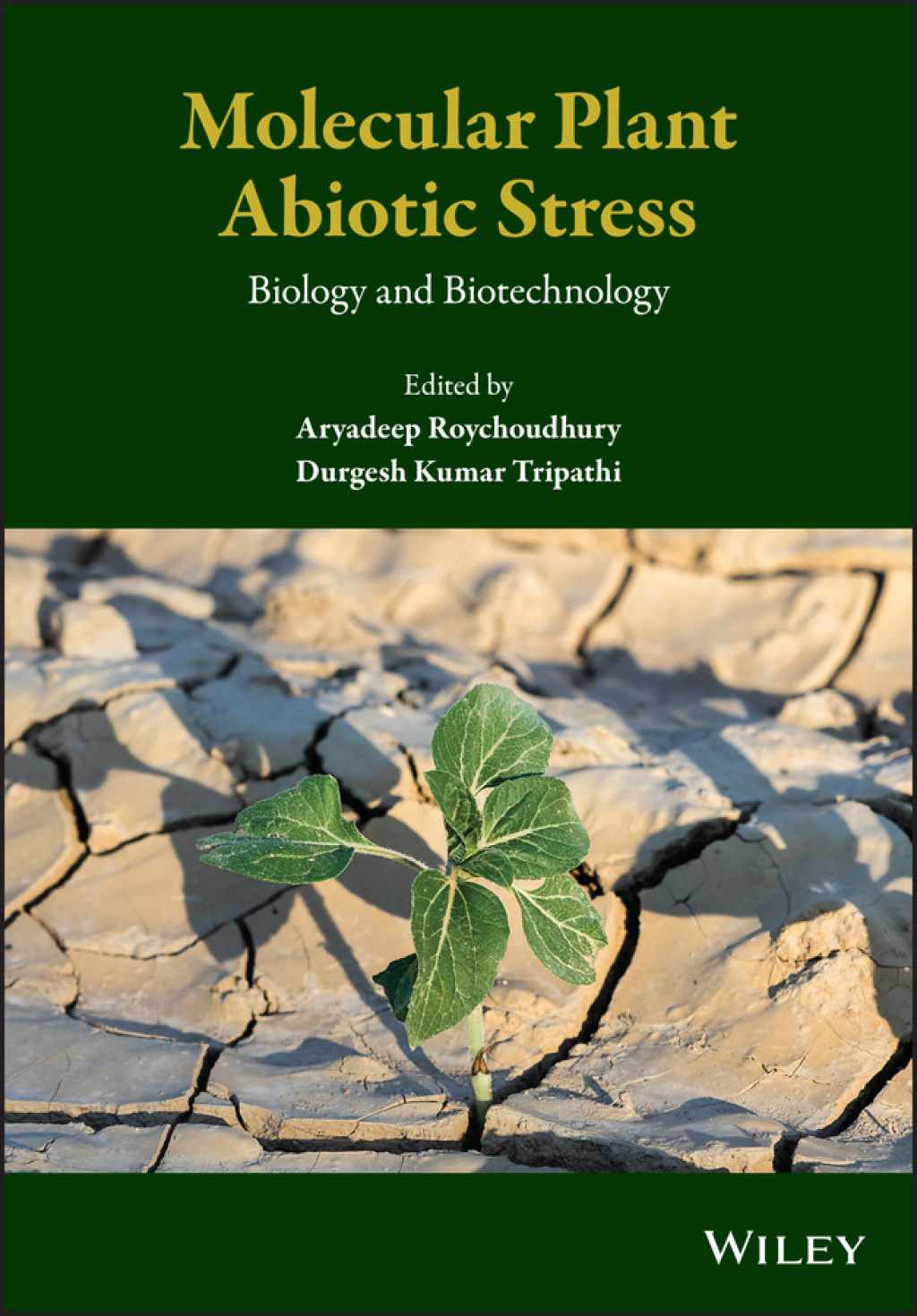Molecular Plant Abiotic Stress Biology and Biotechnology 1st Edition â€“ PDF/EPUB Version Downloadable