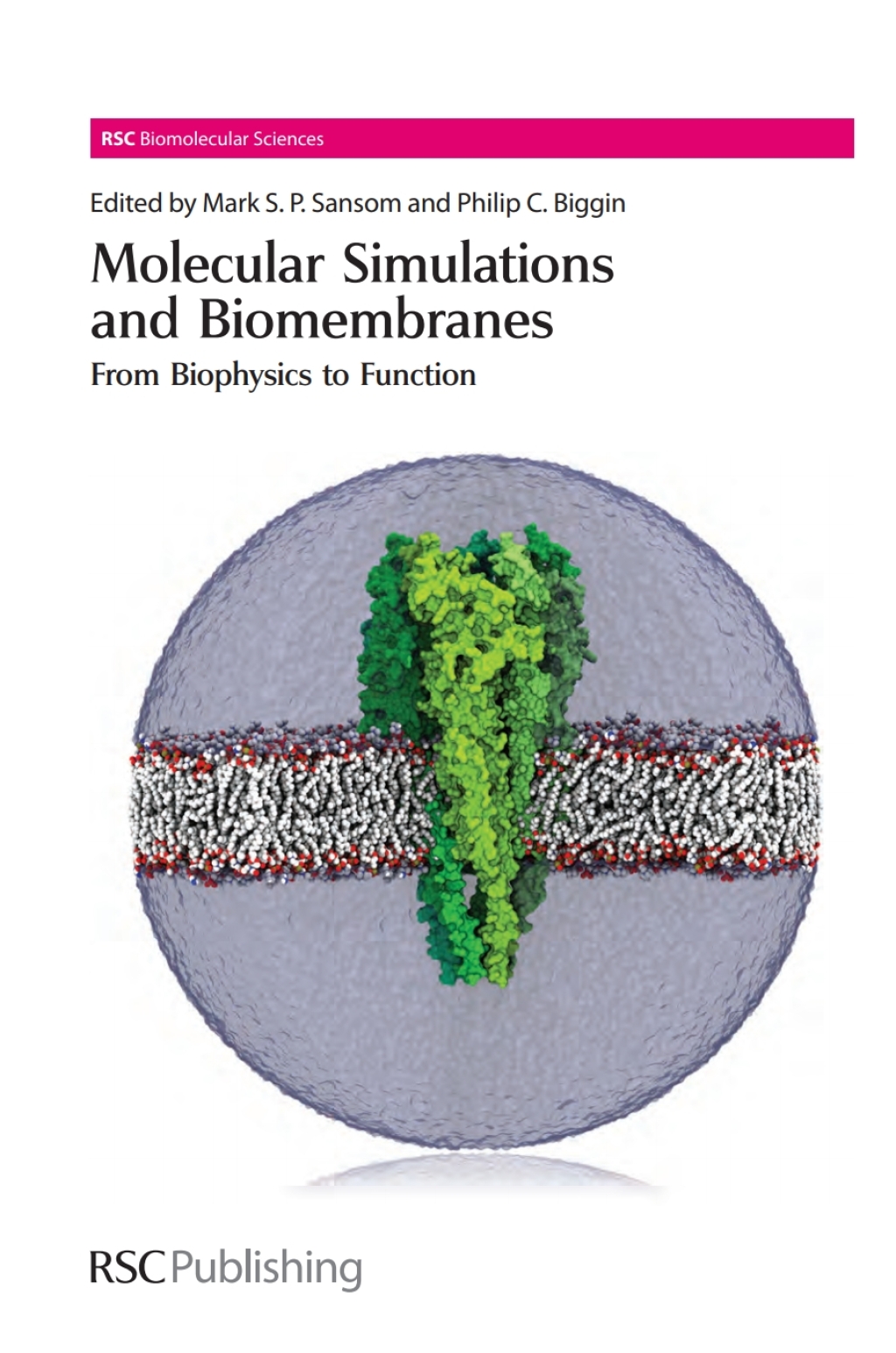 Molecular Simulations and Biomembranes From Biophysics to Function 1st Edition â€“ PDF/EPUB Version Downloadable