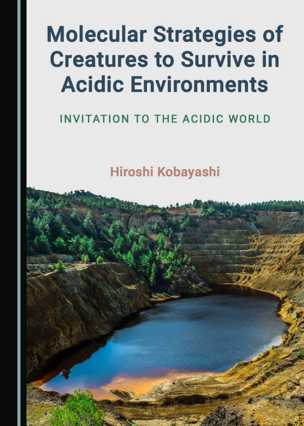 Molecular Strategies of Creatures to Survive in Acidic Environments Invitation to the Acidic World 1st Edition â€“ PDF/EPUB Version Downloadable