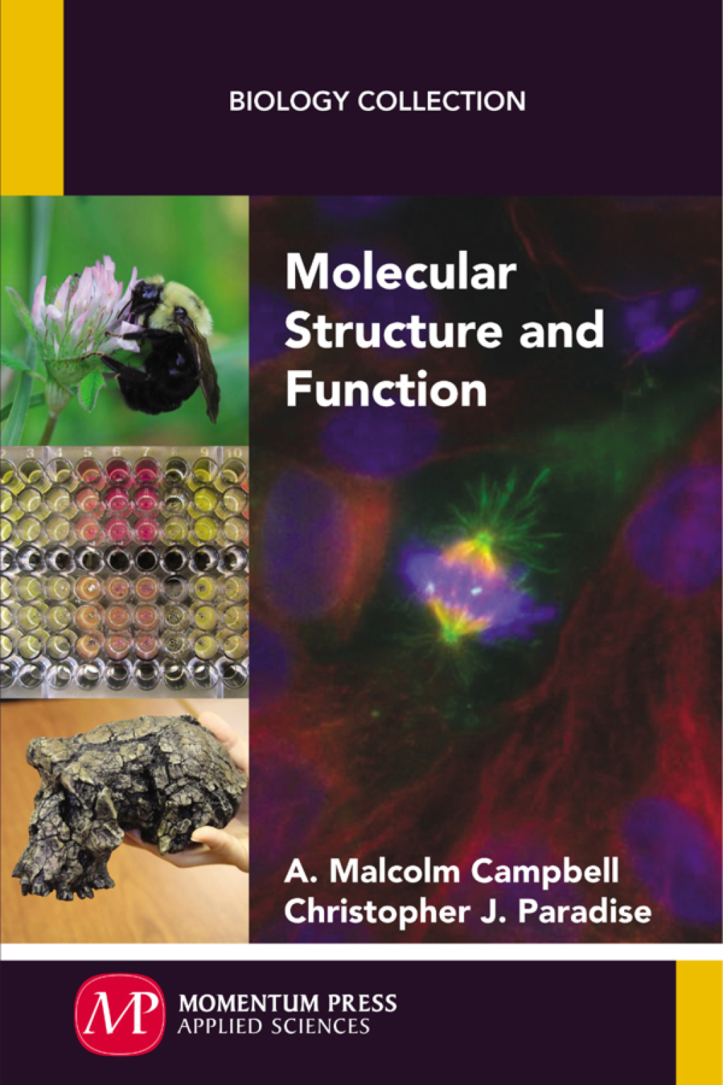 Molecular Structure and Function  â€“ PDF/EPUB Version Downloadable
