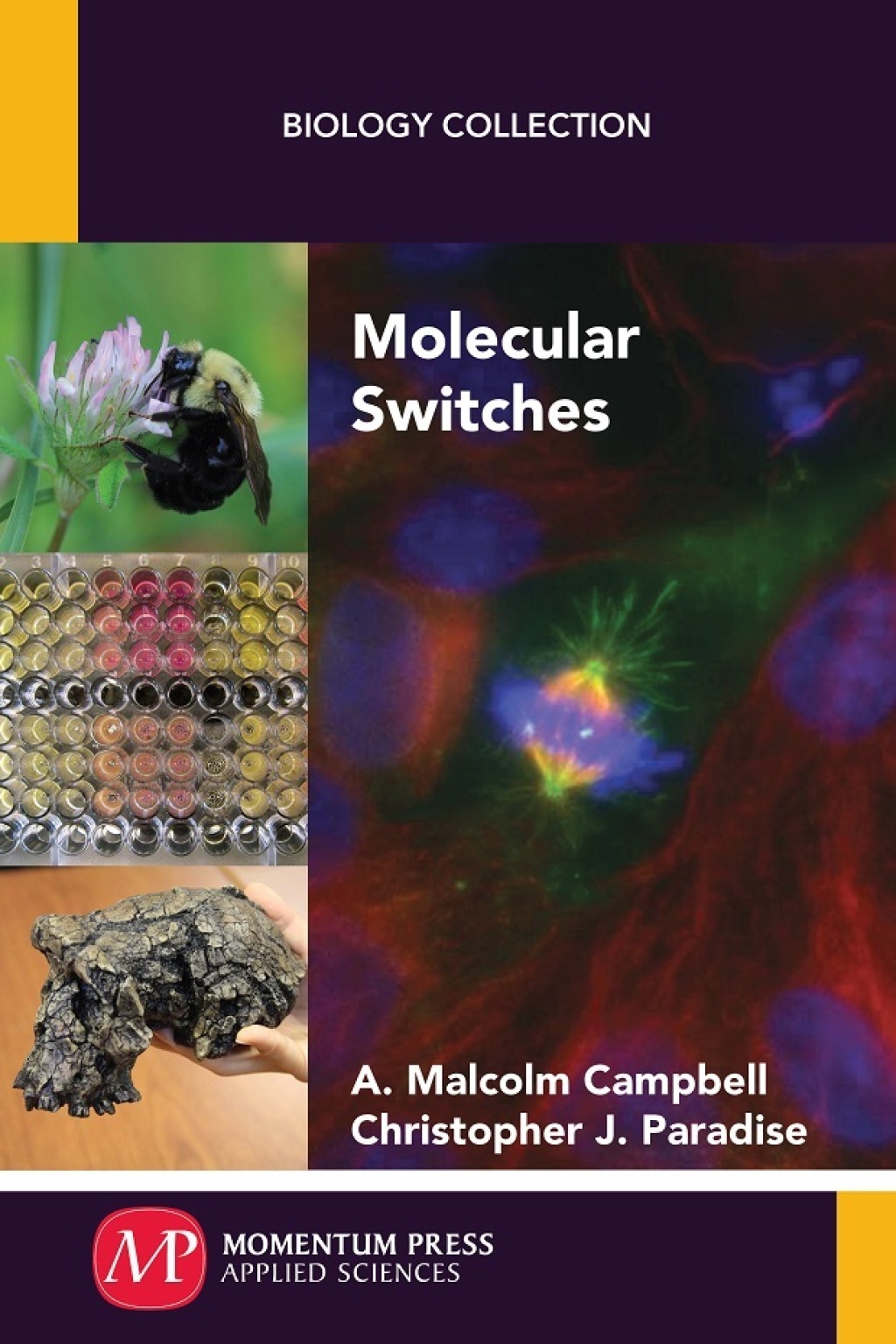 Molecular Switches  â€“ PDF/EPUB Version Downloadable