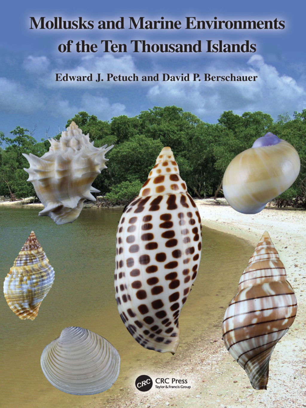 Mollusks and Marine Environments of the Ten Thousand Islands 1st Edition â€“ PDF/EPUB Version Downloadable