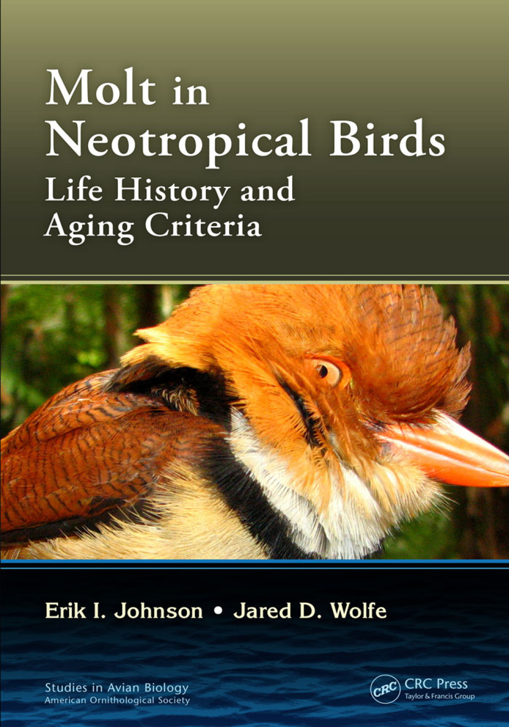 Molt in Neotropical Birds Life History and Aging Criteria 1st Edition â€“ PDF/EPUB Version Downloadable