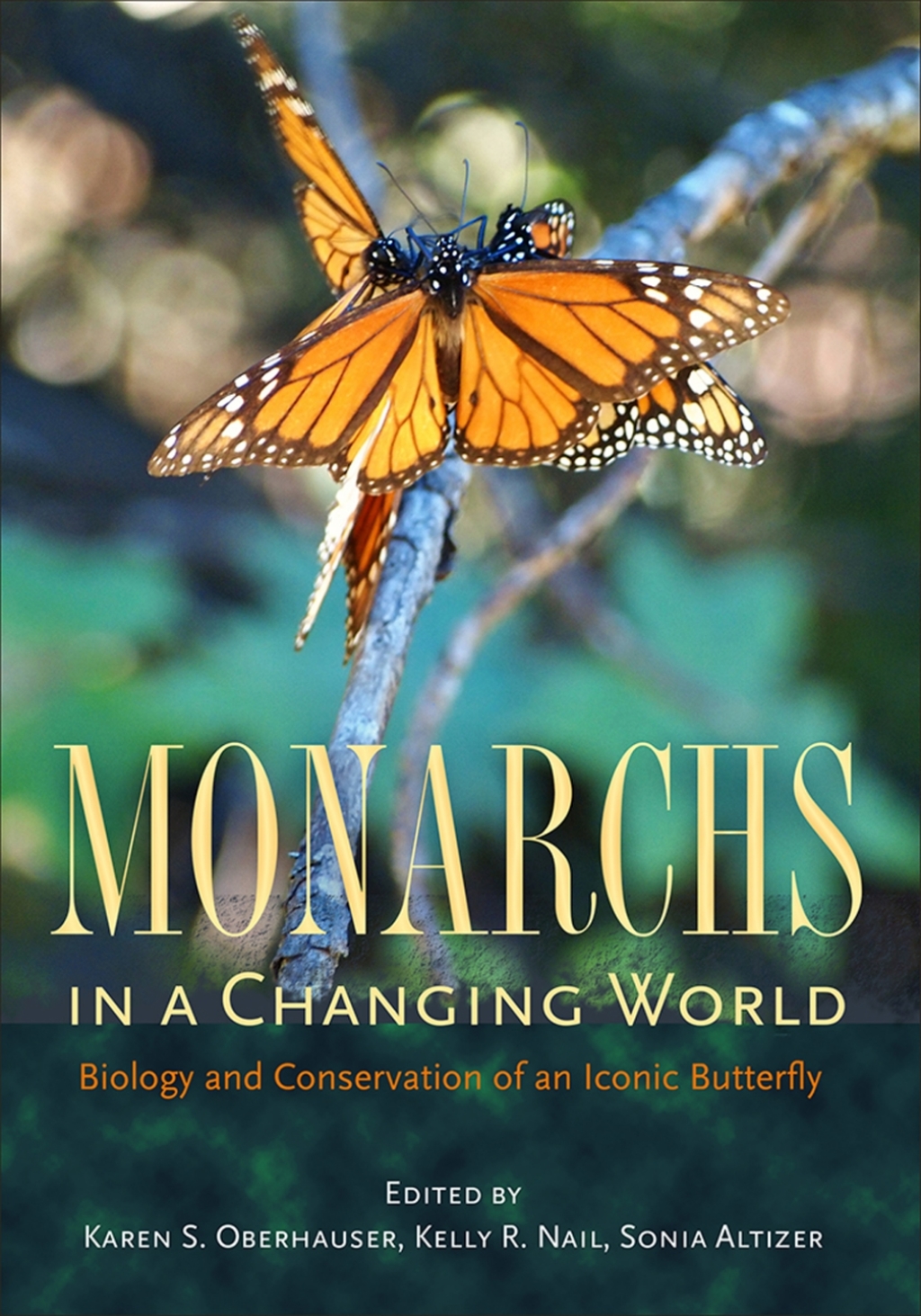 Monarchs in a Changing World Biology and Conservation of an Iconic Butterfly 1st Edition â€“ PDF/EPUB Version Downloadable