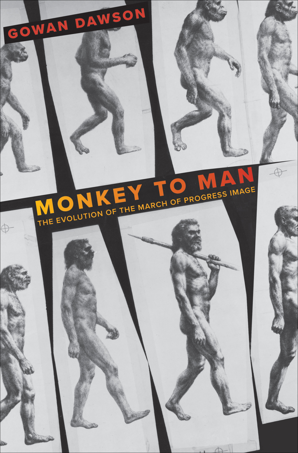 Monkey to Man The Evolution of the March of Progress Image  â€“ PDF/EPUB Version Downloadable