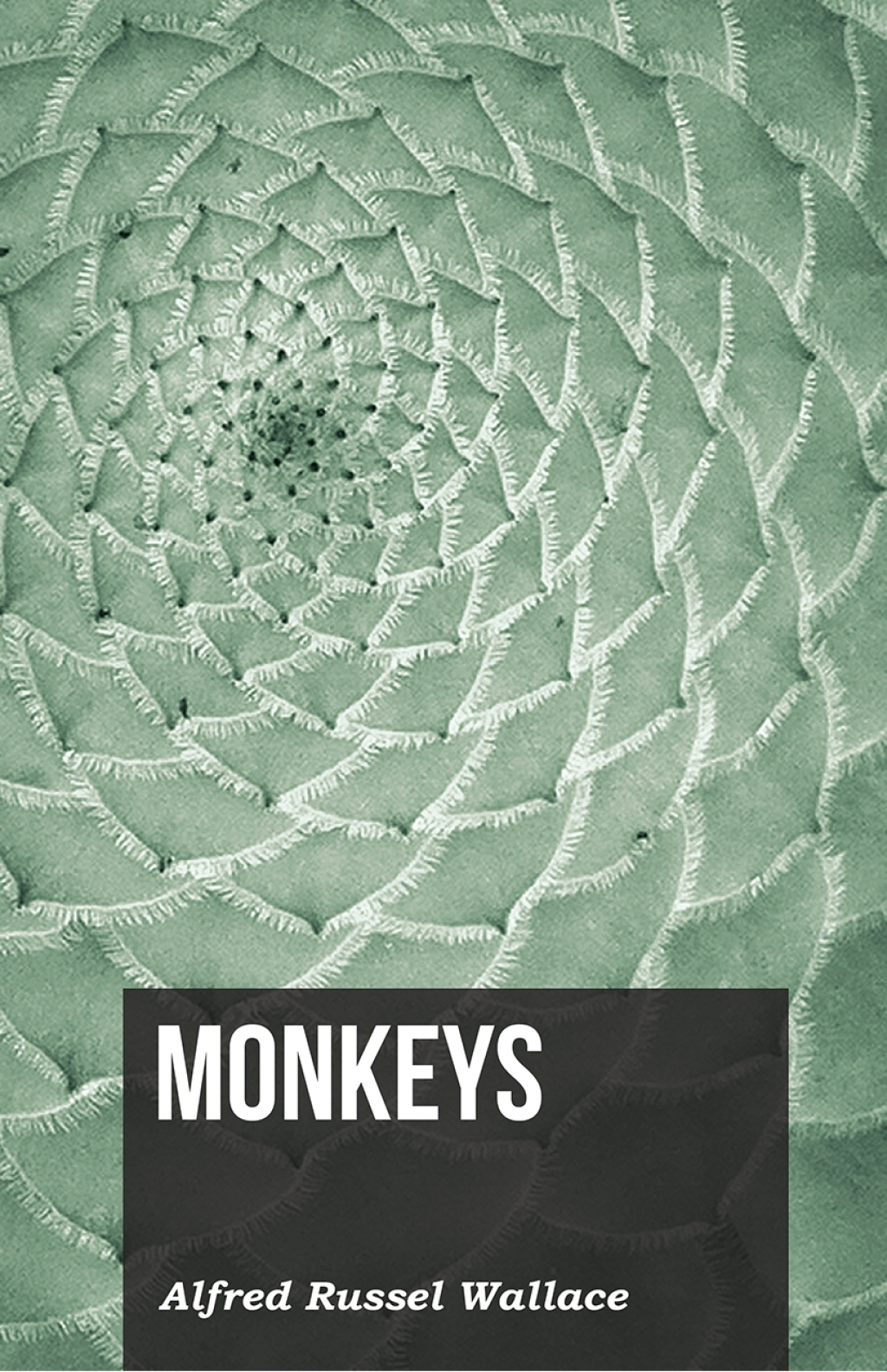Monkeys - (PDF/EPUB Version)