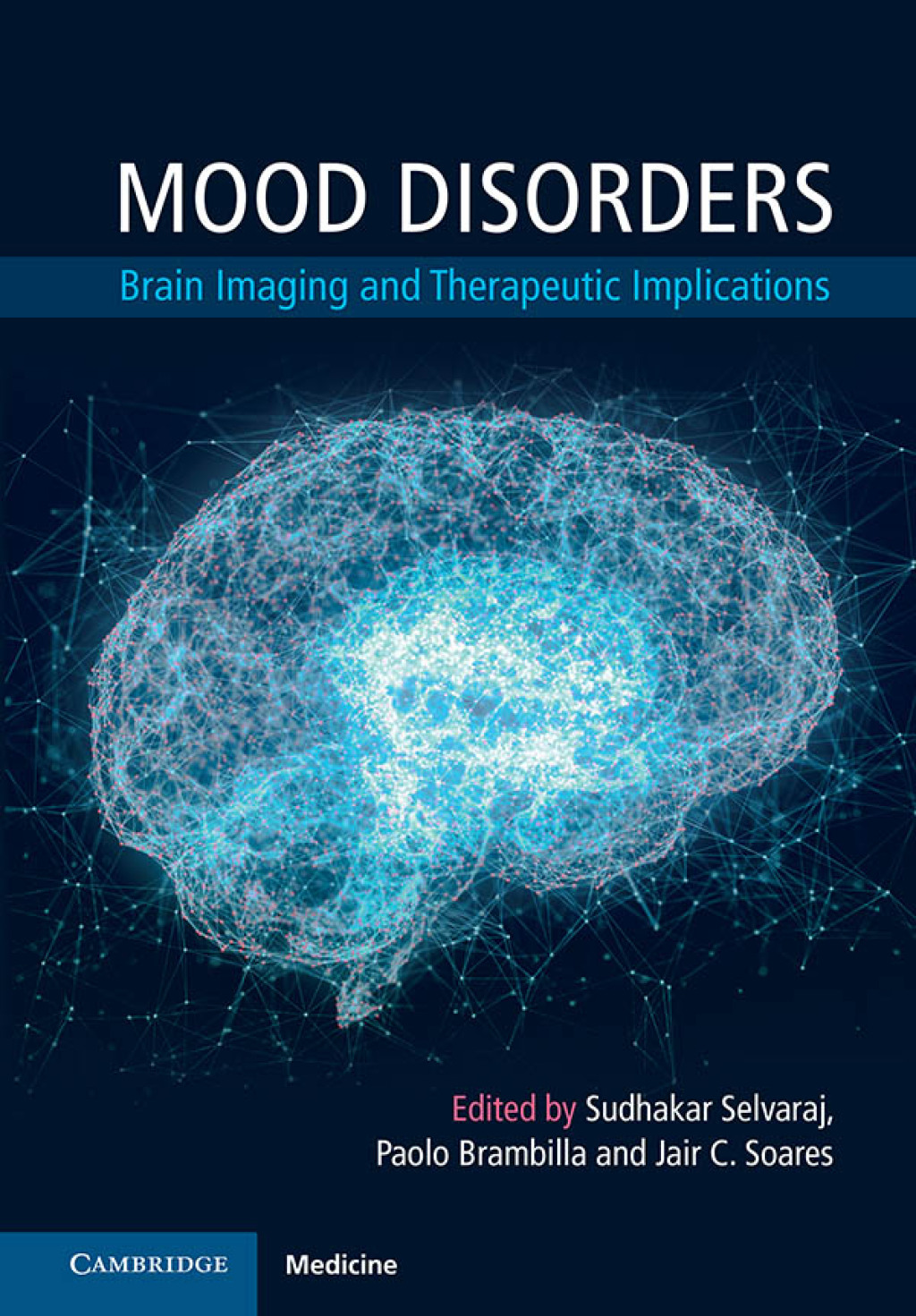 Mood Disorders Brain Imaging and Therapeutic Implications  â€“ PDF/EPUB Version Downloadable