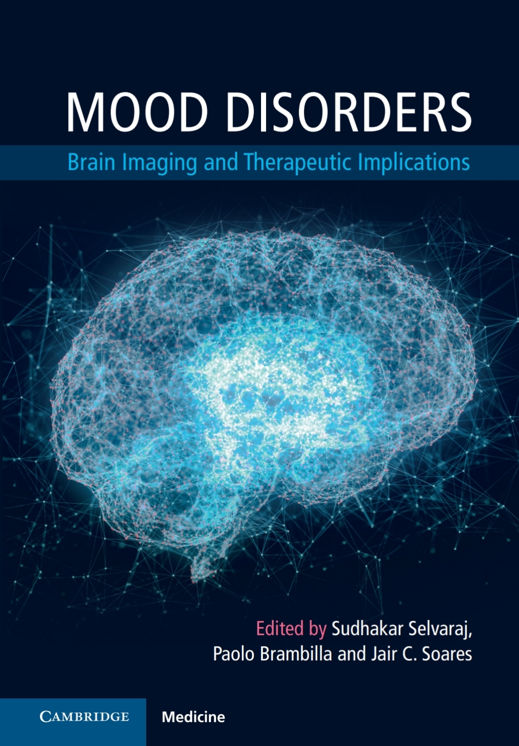 Mood Disorders Brain Imaging and Therapeutic Implications 1st Edition â€“ PDF/EPUB Version Downloadable
