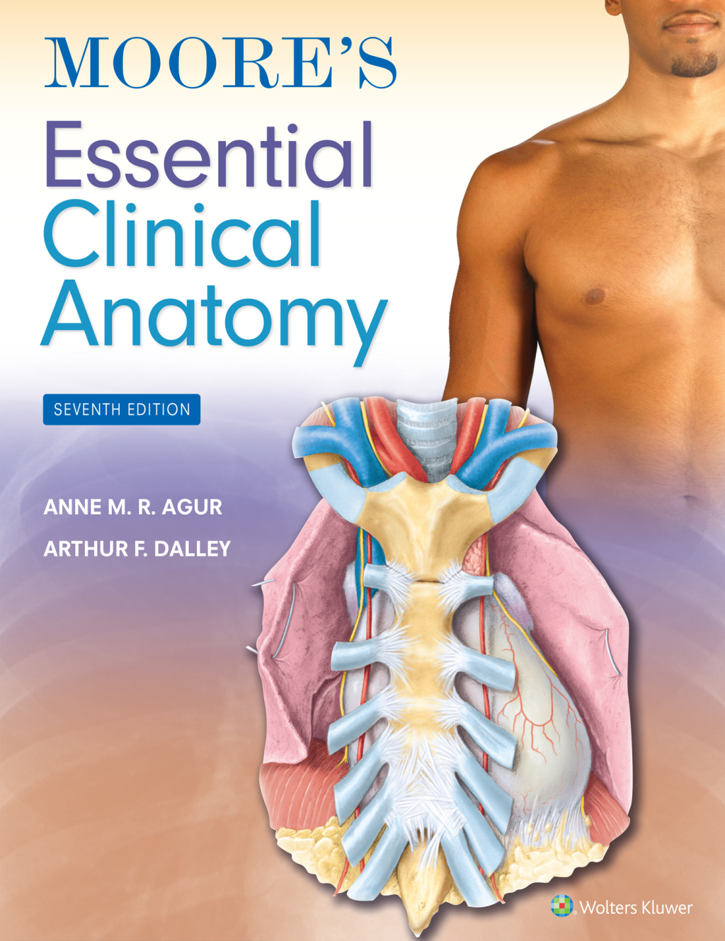 Moore's Essential Clinical Anatomy 7th Edition â€“ PDF/EPUB Version Downloadable