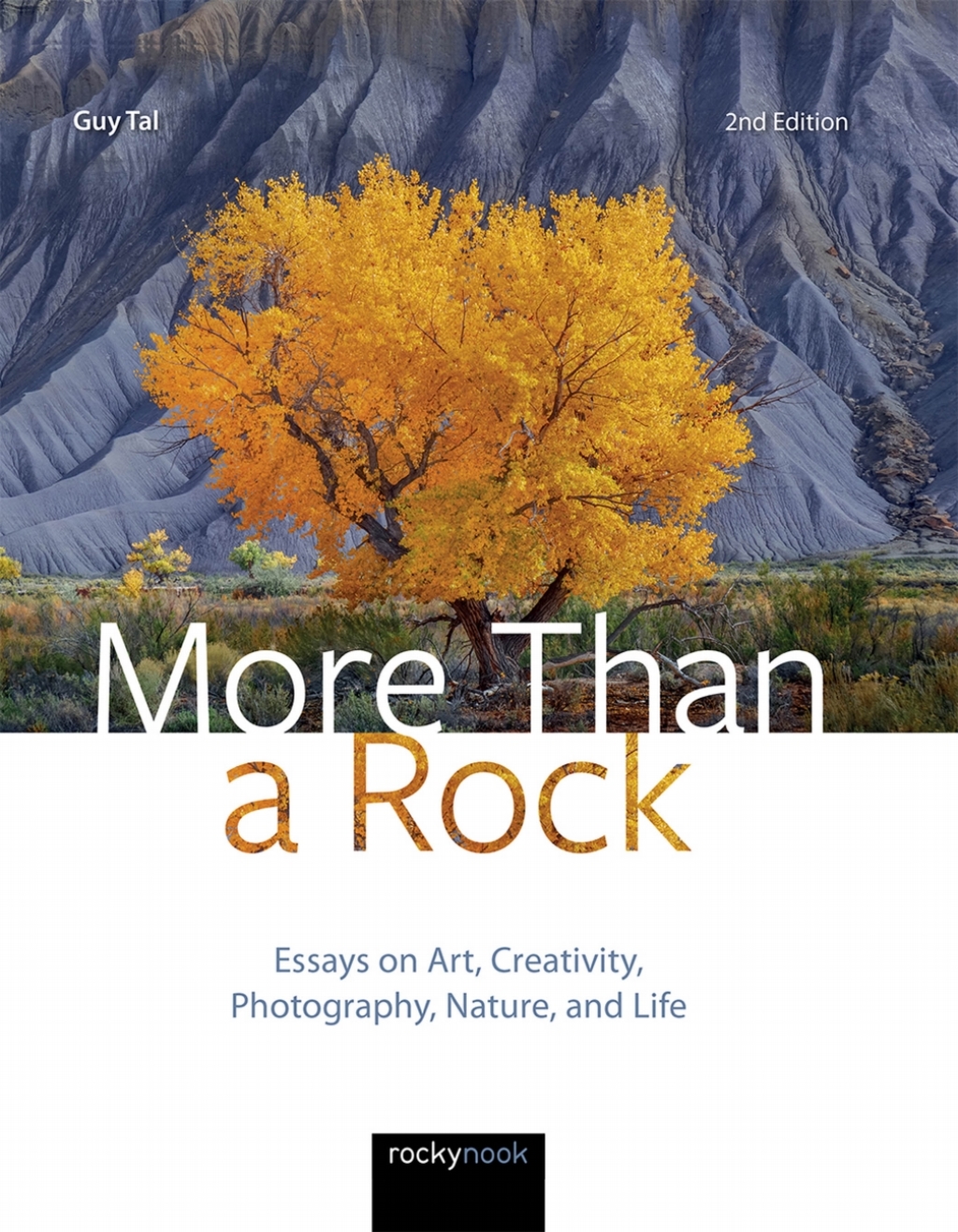 More Than a Rock, 2nd Edition Essays on Art, Creativity, Photography, Nature, and Life  â€“ PDF/EPUB Version Downloadable