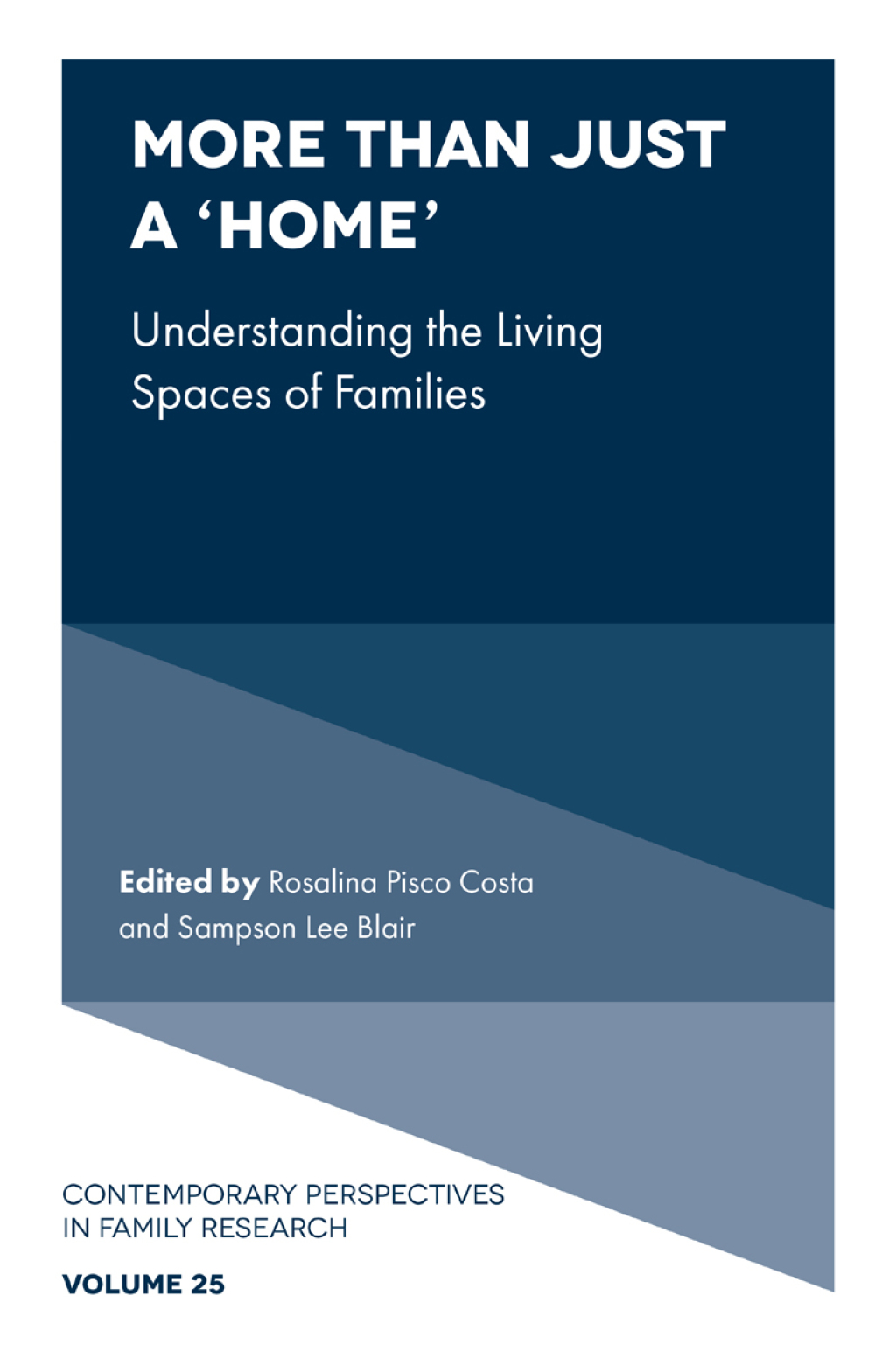 More than just a â€˜Homeâ€™ Understanding the Living Spaces of Families  â€“ PDF/EPUB Version Downloadable