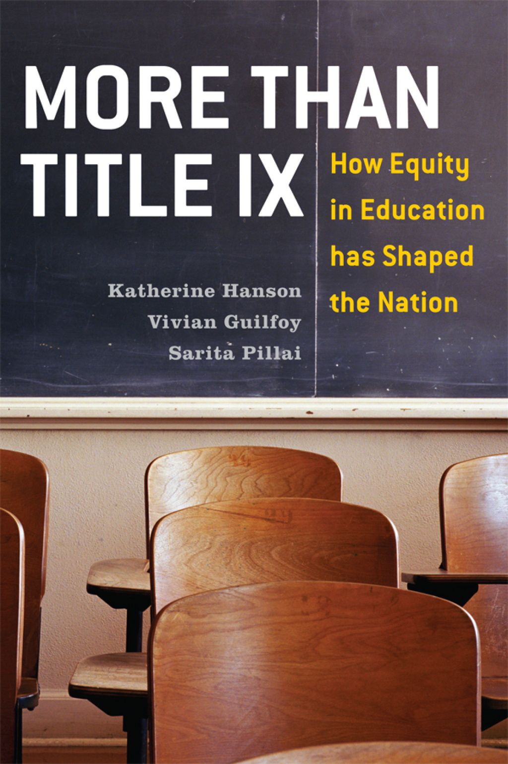 More Than Title IX How Equity in Education has Shaped the Nation 1st Edition â€“ PDF/EPUB Version Downloadable