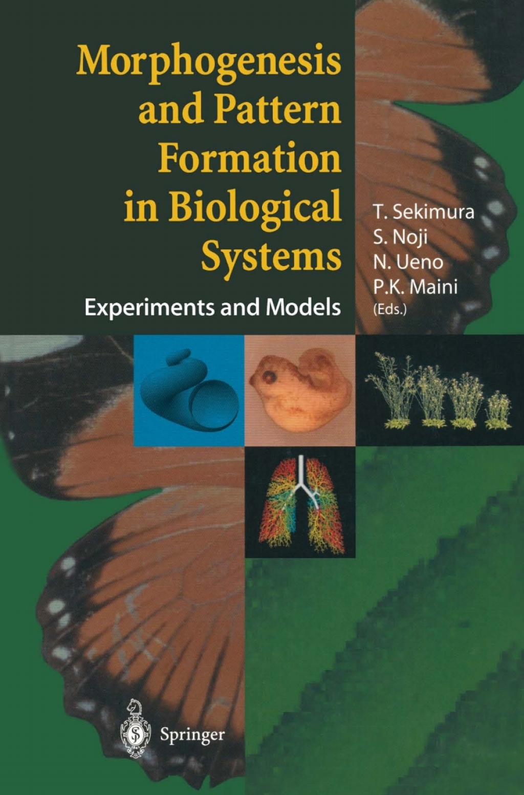 Morphogenesis and Pattern Formation in Biological Systems Experiments and Models 1st Edition â€“ PDF/EPUB Version Downloadable