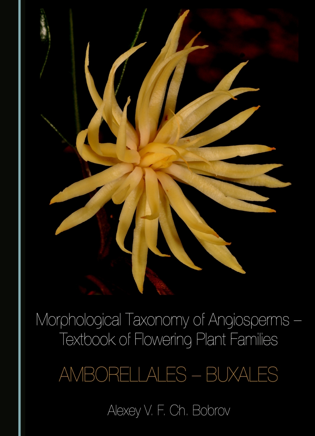 Morphological Taxonomy of Angiosperms â€“ Textbook of Flowering Plant Families Amborellales â€“ Buxales 1st Edition â€“ PDF/EPUB Version Downloadable