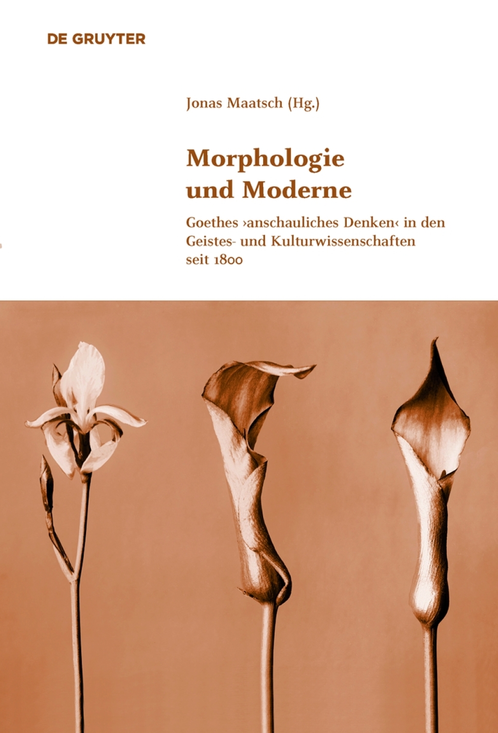 Morphologie und Moderne Goethes ›anschauliches Denken‹ in den Geistes- und Kulturwissenschaften seit 1800 1st Edition – PDF/EPUB Version Downloadable Morphologie und Moderne Goethes ›anschauliches Denken‹ in den Geistes- und Kulturwissenschaften seit 1800 1st Edition – PDF/EPUB Version Downloadable - Image 1