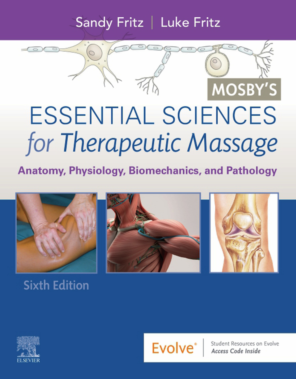 Mosby's Essential Sciences for Therapeutic Massage Anatomy, Physiology, Biomechanics, and Pathology 6th Edition â€“ PDF/EPUB Version Downloadable