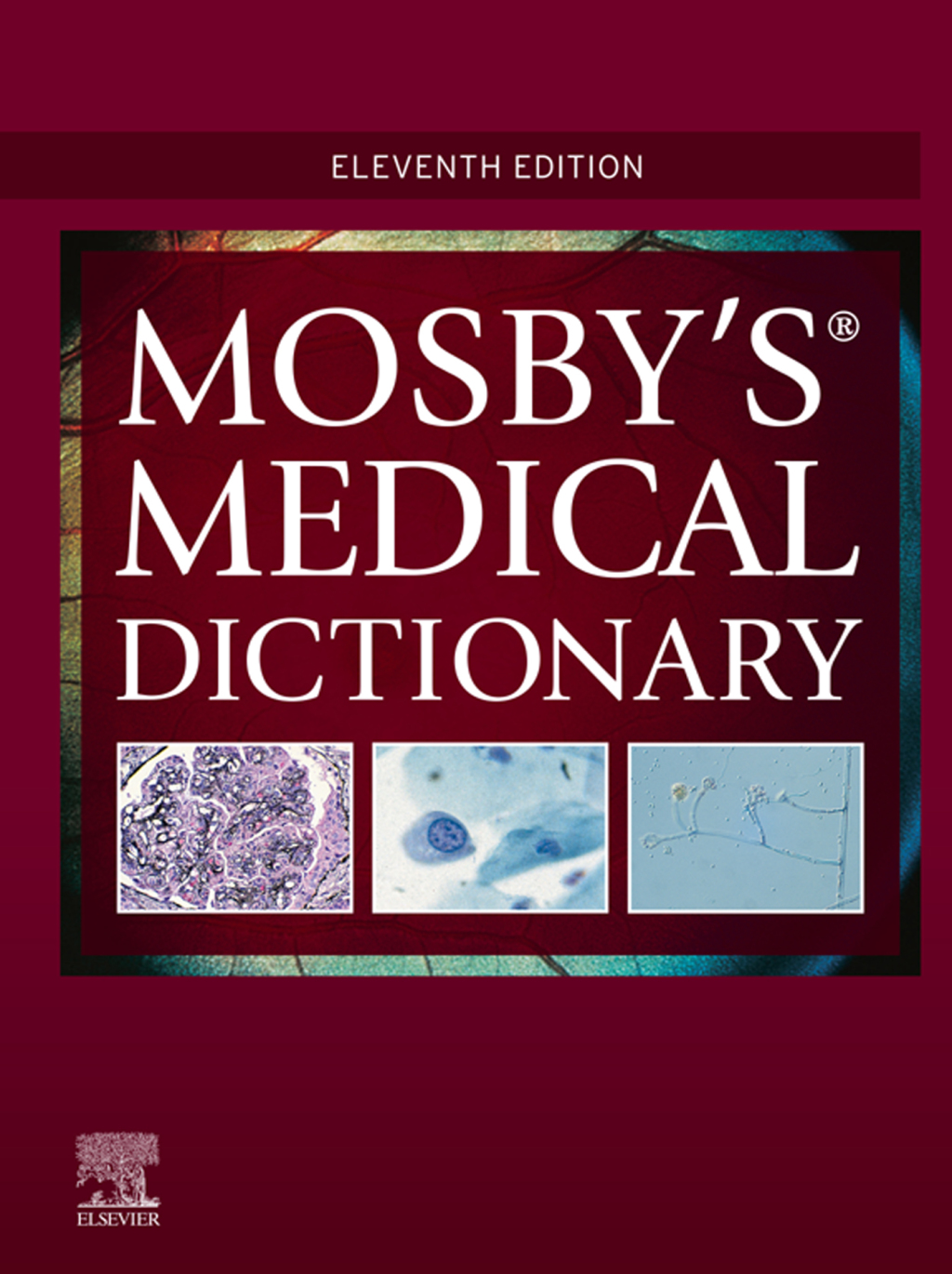 Mosby's Medical Dictionary 11th Edition â€“ PDF/EPUB Version Downloadable