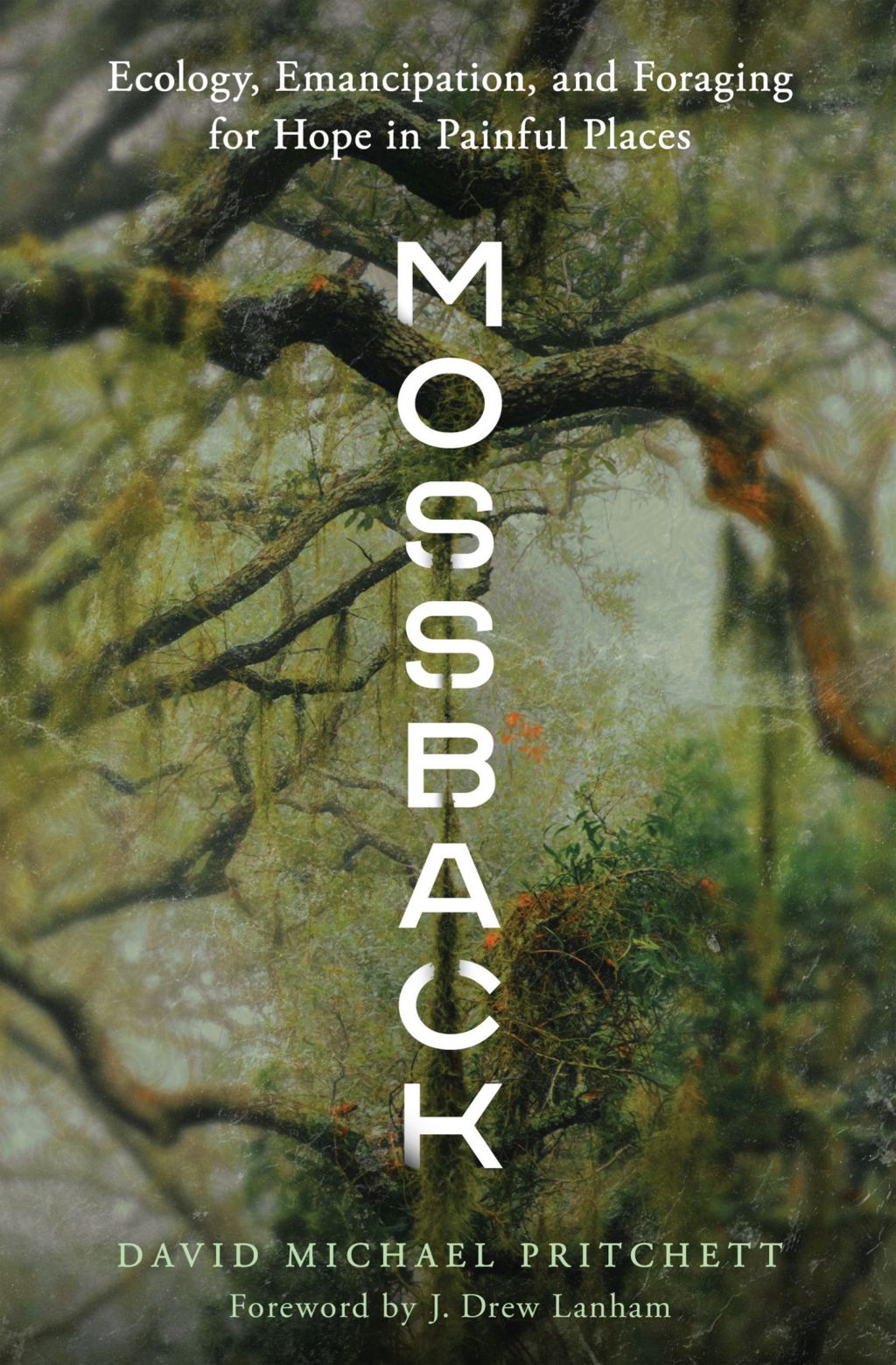 Mossback Ecology, Emancipation, and Foraging for Hope in Painful Places - (PDF/EPUB Version)