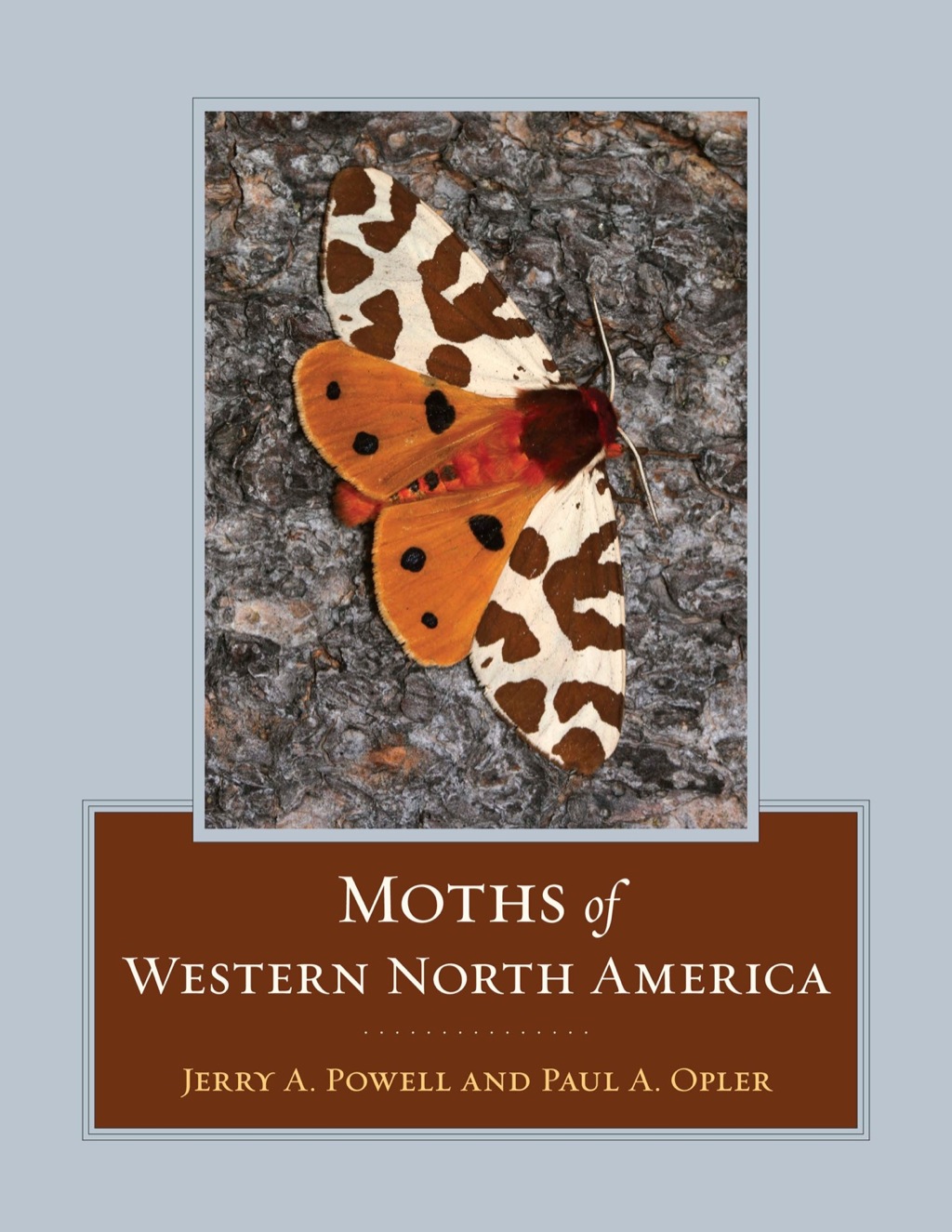 Moths of Western North America 1st Edition â€“ PDF/EPUB Version Downloadable