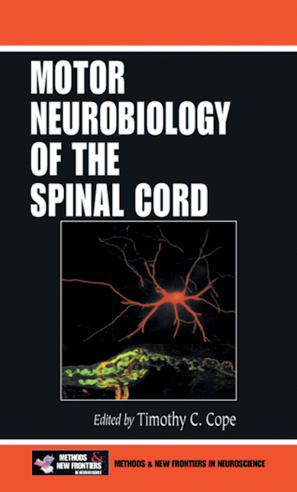 Motor Neurobiology of the Spinal Cord 1st Edition â€“ PDF/EPUB Version Downloadable