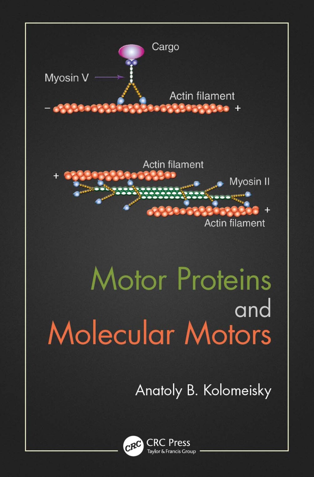 Motor Proteins and Molecular Motors 1st Edition â€“ PDF/EPUB Version Downloadable