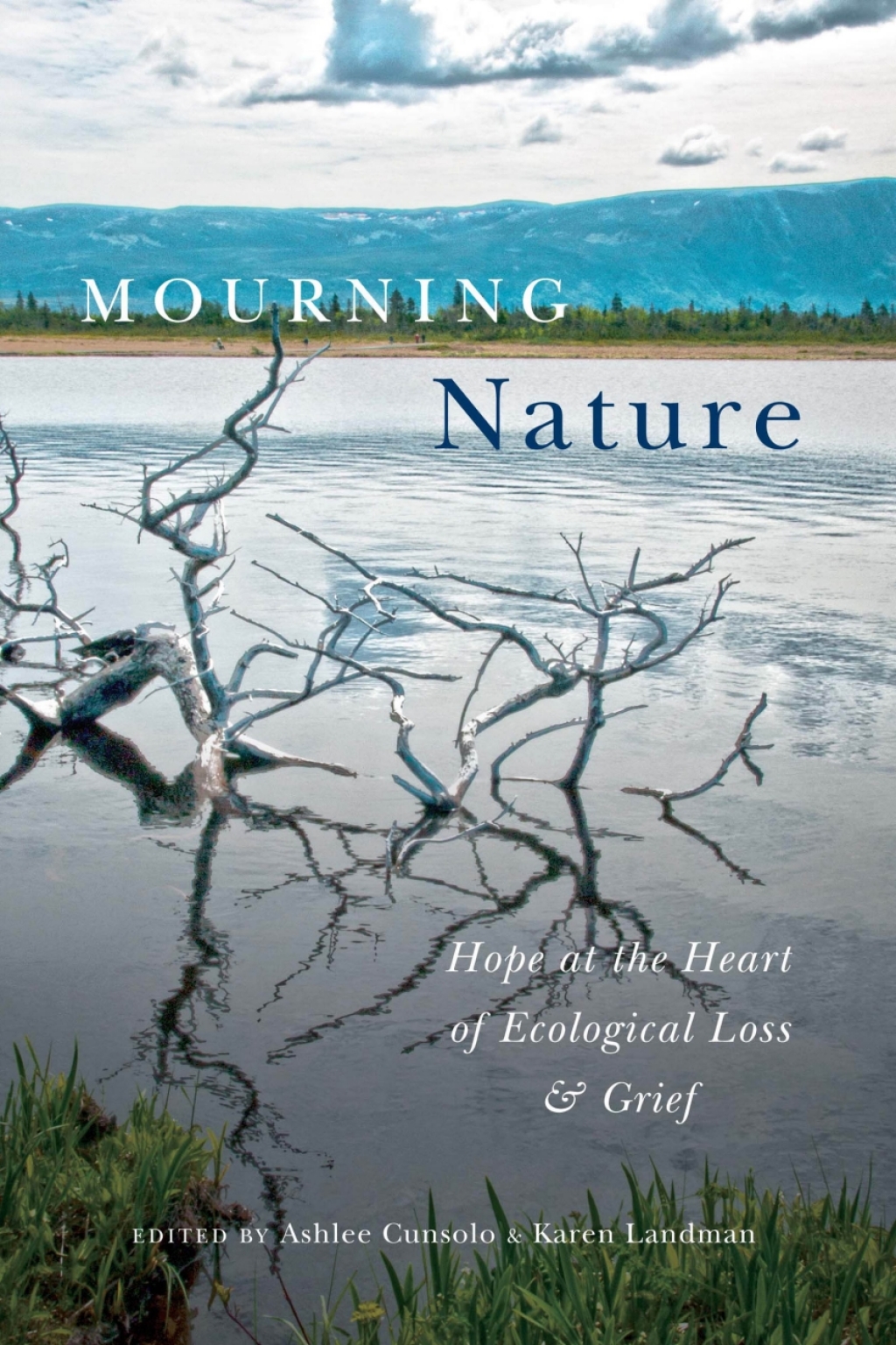 Mourning Nature Hope at the Heart of Ecological Loss and Grief  â€“ PDF/EPUB Version Downloadable