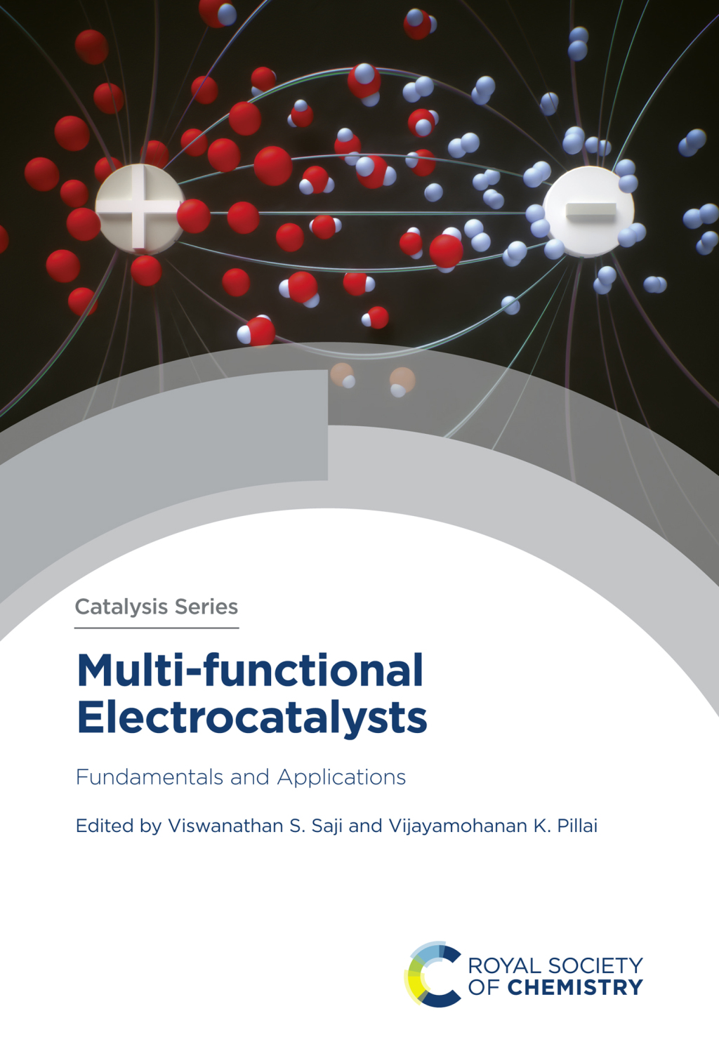 Multi-functional Electrocatalysts Fundamentals and Applications 1st Edition â€“ PDF/EPUB Version Downloadable