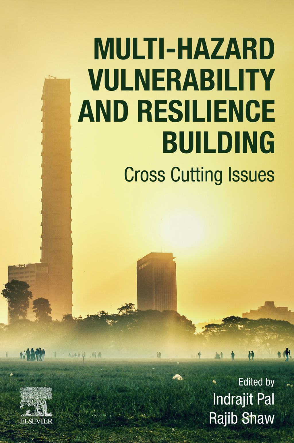 Multi-Hazard Vulnerability and Resilience Building Cross Cutting Issues 1st Edition â€“ PDF/EPUB Version Downloadable