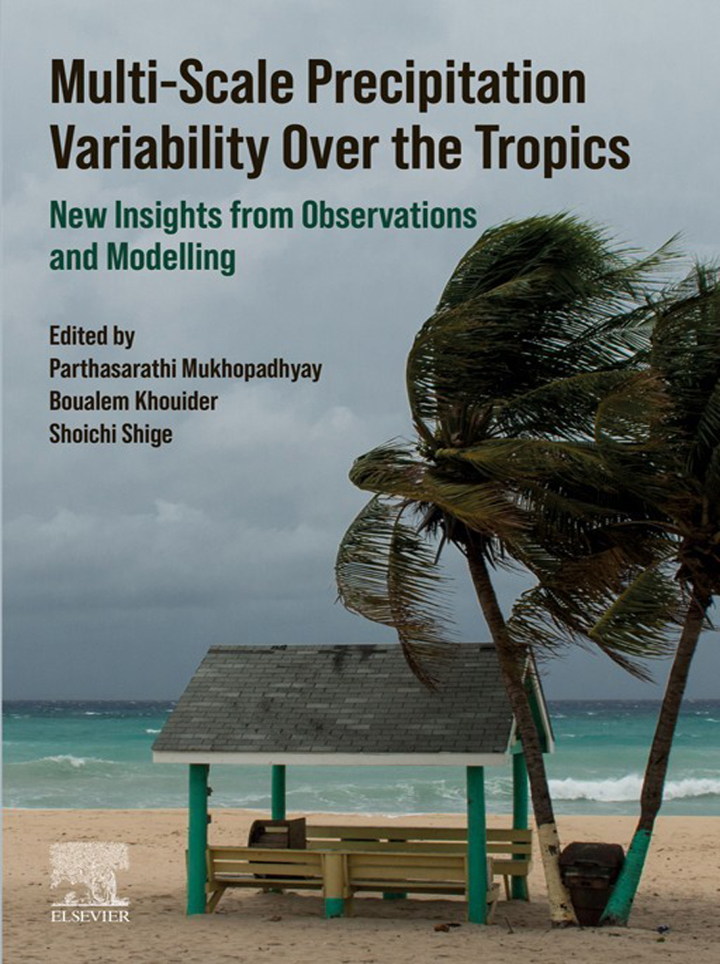Multi-Scale Precipitation Variability Over the Tropics New Insights from Observations and Modelling  â€“ PDF/EPUB Version Downloadable