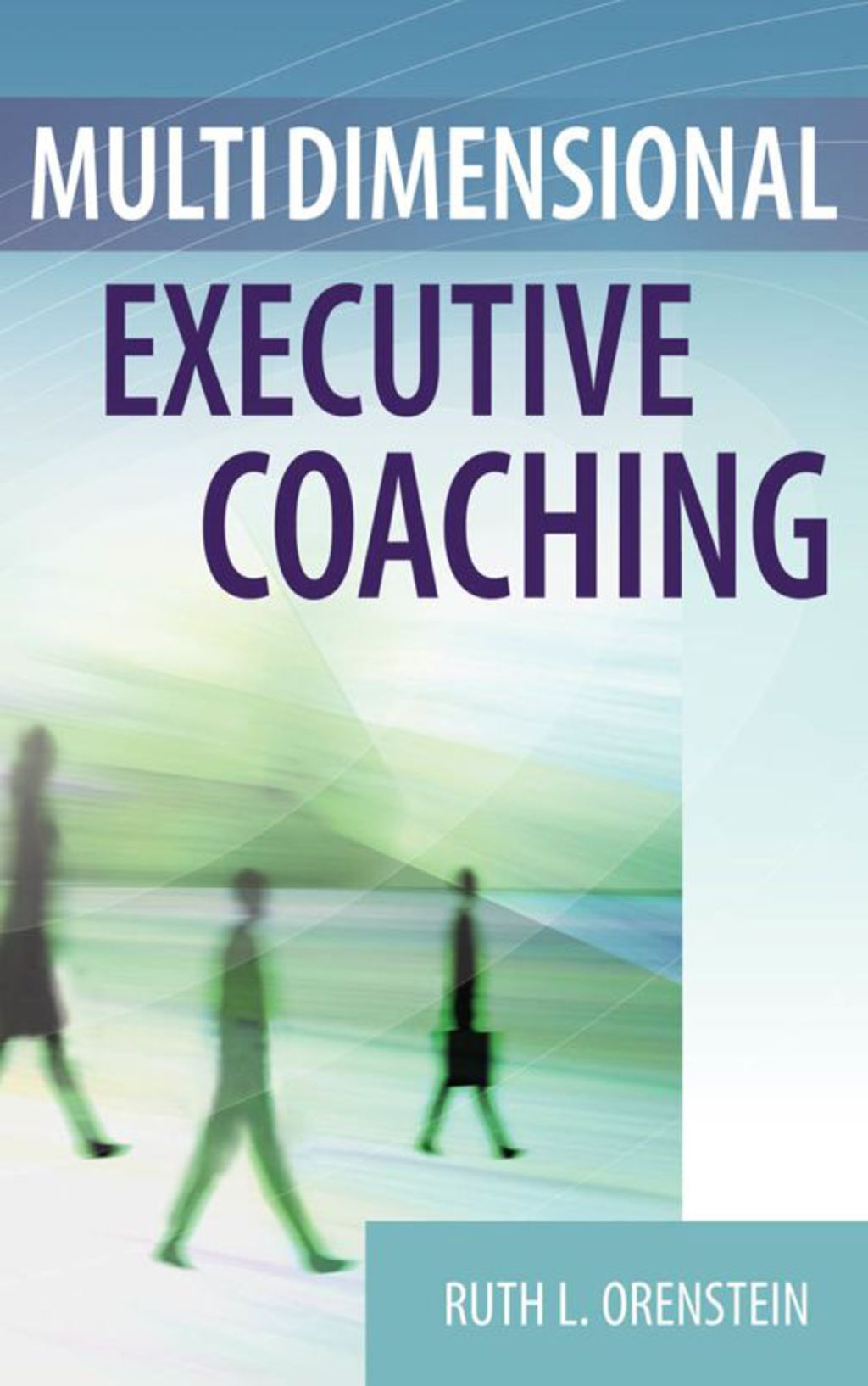 Multidimensional Executive Coaching 1st Edition â€“ PDF/EPUB Version Downloadable