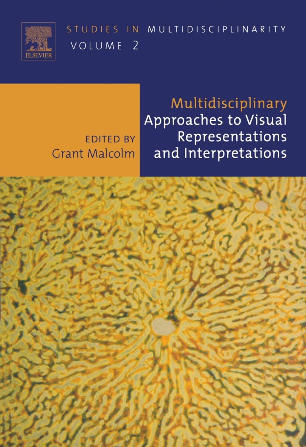 Multidisciplinary Approaches to Visual Representations and Interpretations  â€“ PDF/EPUB Version Downloadable