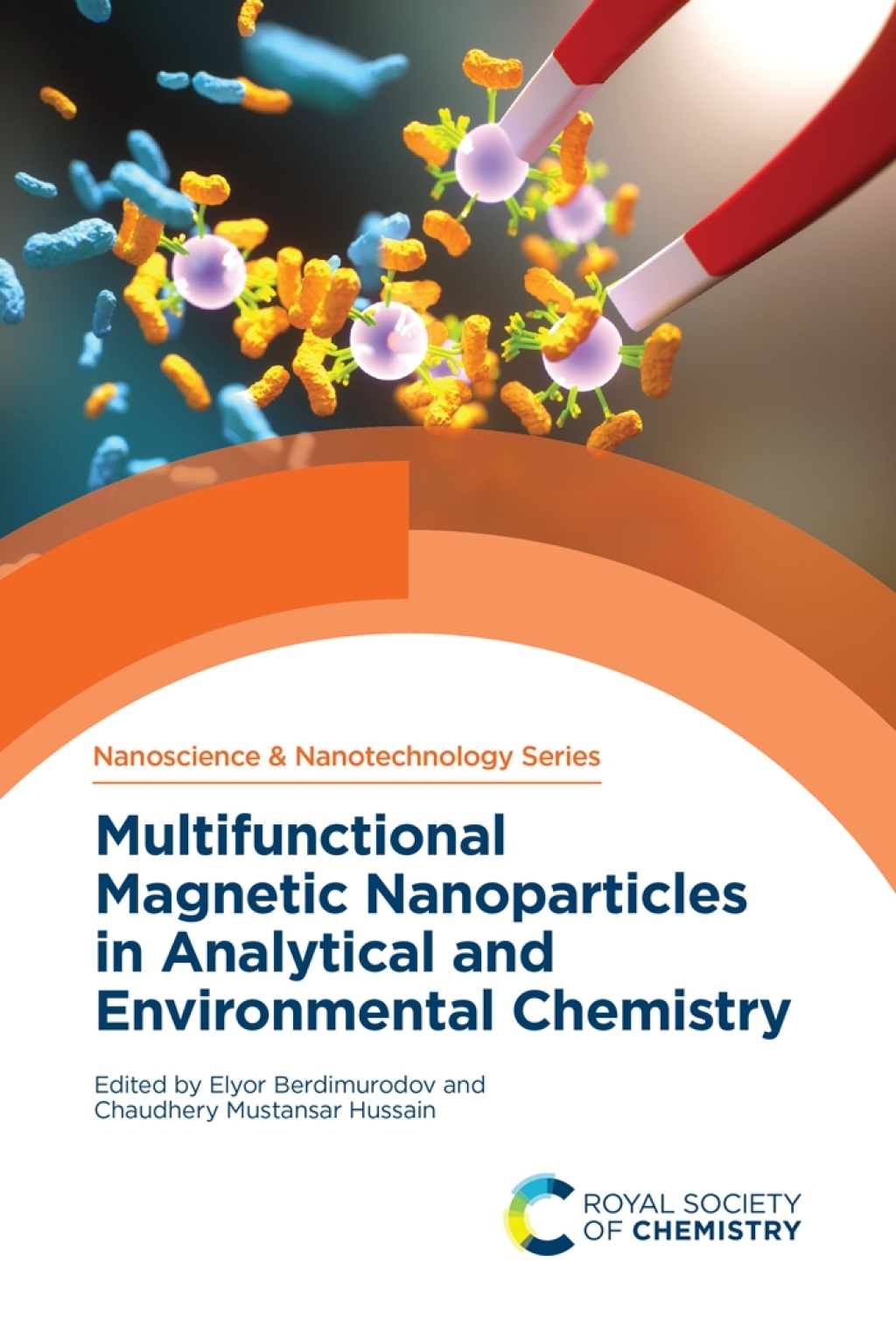 Multifunctional Magnetic Nanoparticles in Analytical and Environmental Chemistry 1st Edition â€“ PDF/EPUB Version Downloadable