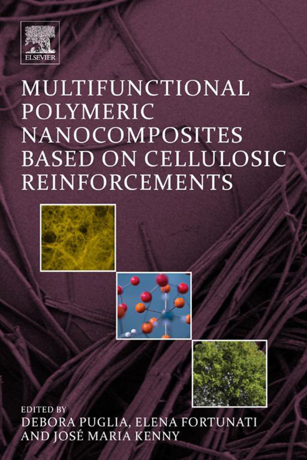 Multifunctional Polymeric Nanocomposites Based on Cellulosic Reinforcements  â€“ PDF/EPUB Version Downloadable