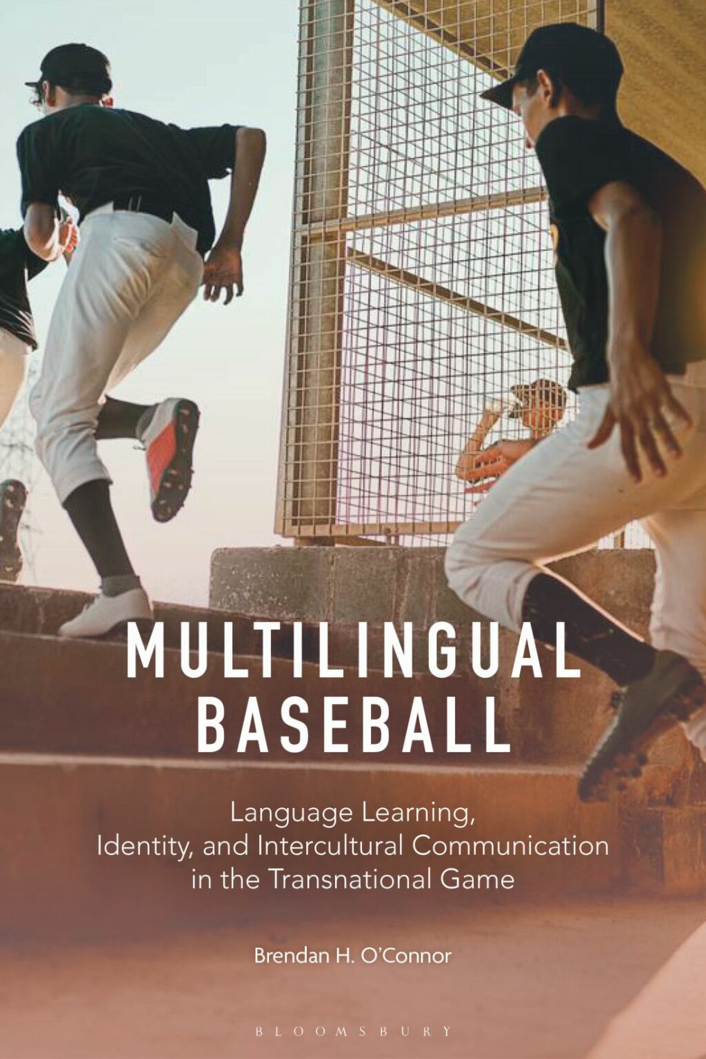Multilingual Baseball Language Learning, Identity, and Intercultural Communication in the Transnational Game 1st Edition â€“ PDF/EPUB Version Downloadable