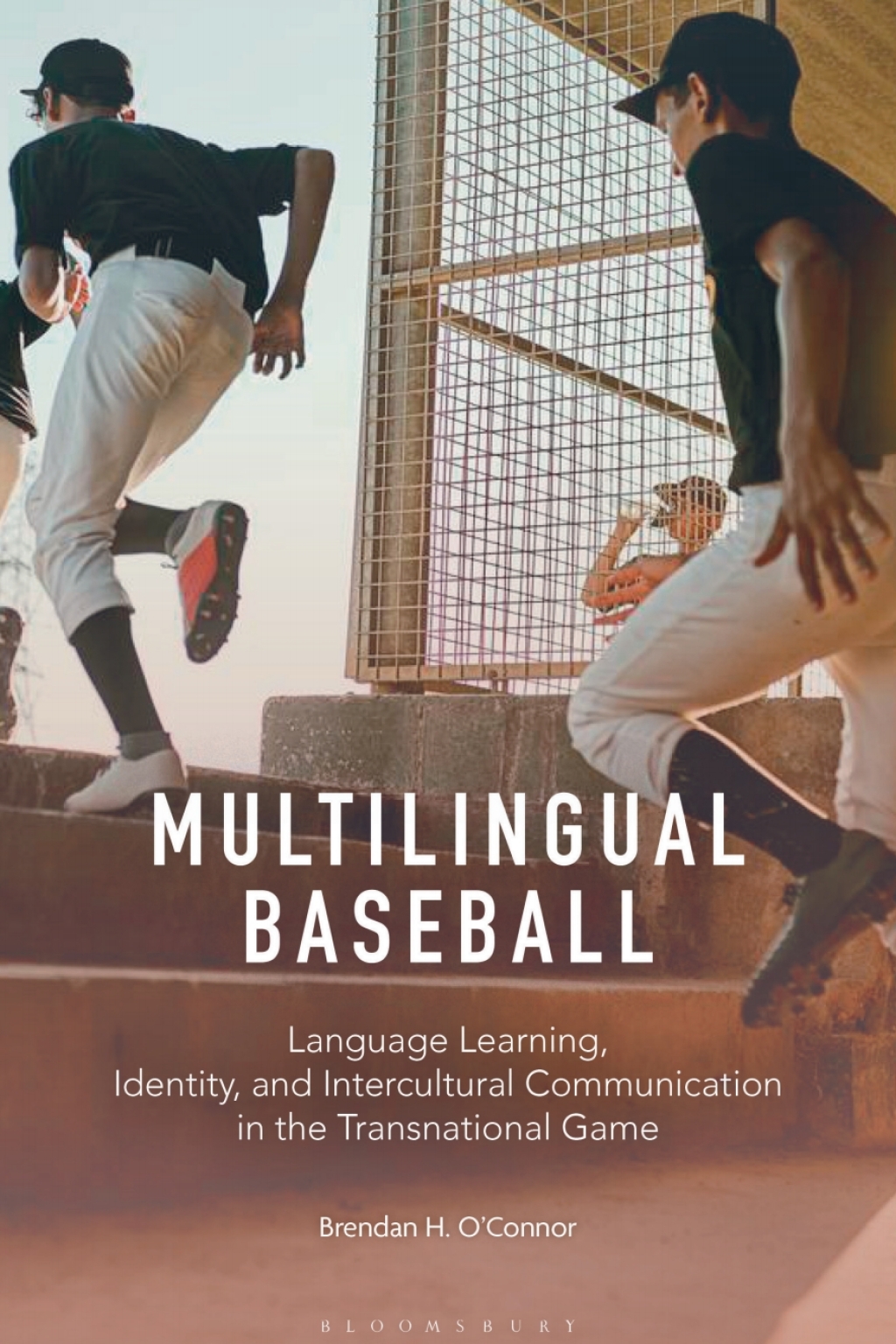 Multilingual Baseball Language Learning, Identity, and Intercultural Communication in the Transnational Game 1st Edition â€“ PDF/EPUB Version Downloadable