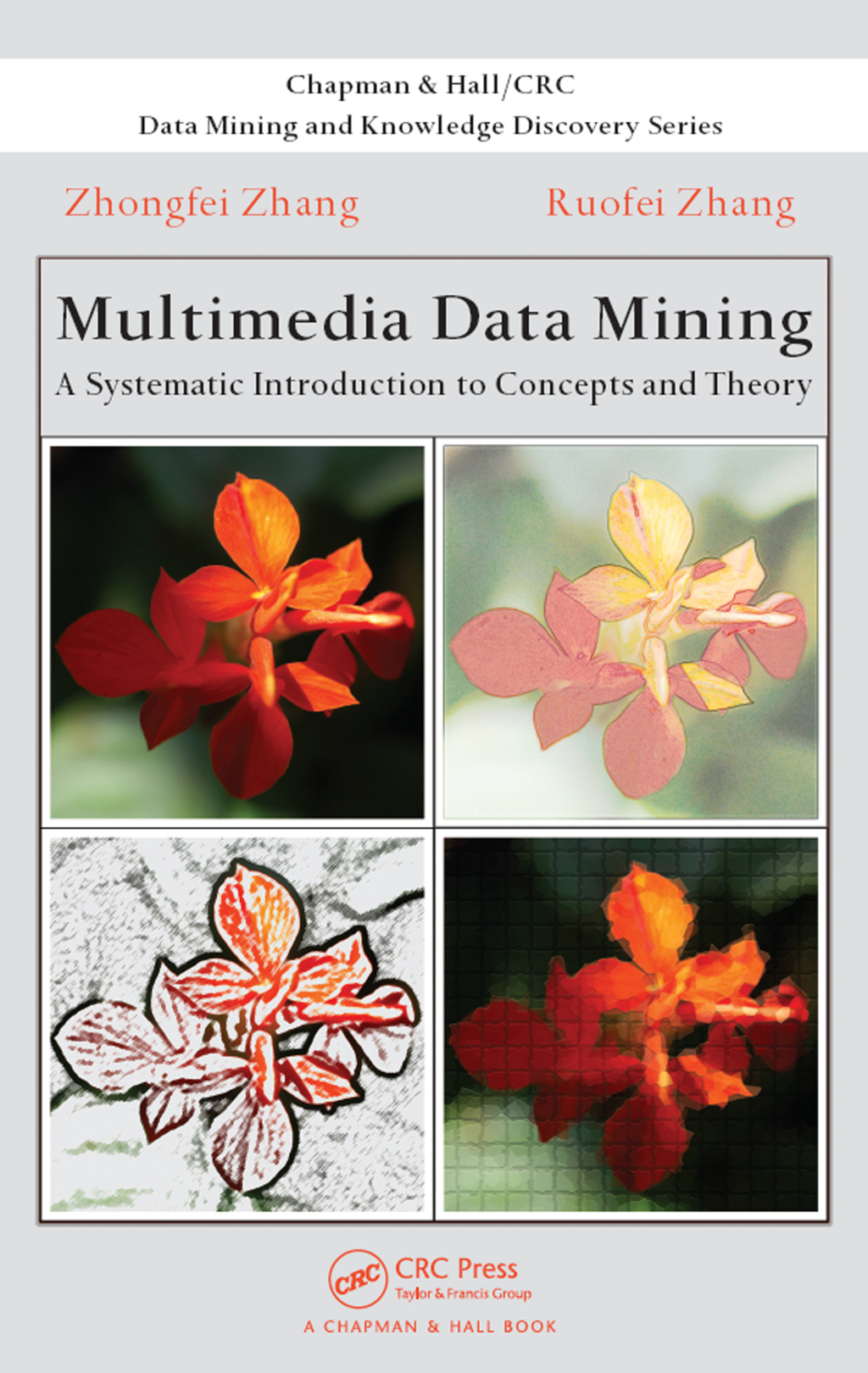 Multimedia Data Mining A Systematic Introduction to Concepts and Theory 1st Edition â€“ PDF/EPUB Version Downloadable