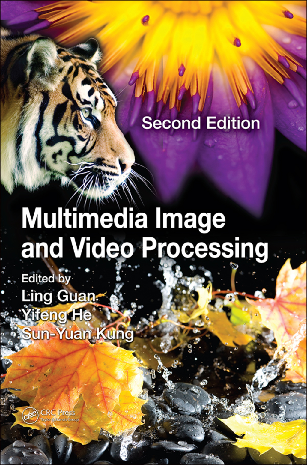 Multimedia Image and Video Processing 2nd Edition â€“ PDF/EPUB Version Downloadable