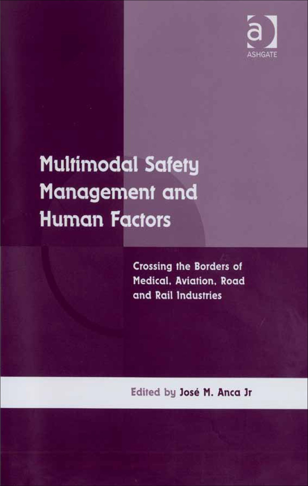 Multimodal Safety Management and Human Factors: Crossing the Borders of Medical, Aviation, Road and Rail Industries  â€“ PDF/EPUB Version Downloadable