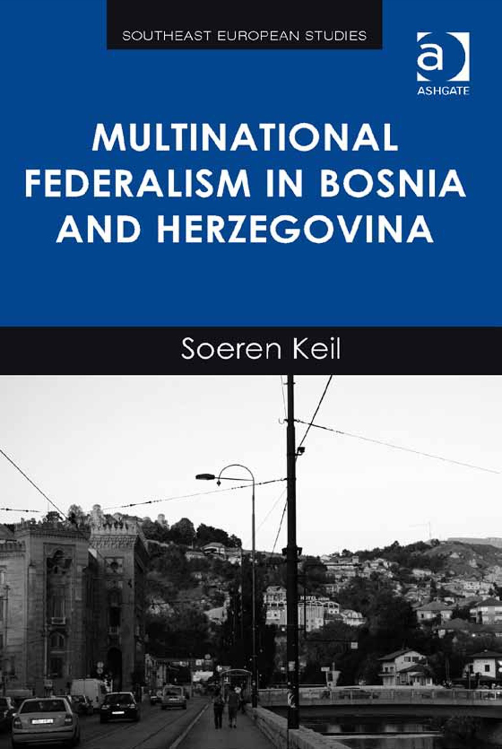 Multinational Federalism in Bosnia and Herzegovina  â€“ PDF/EPUB Version Downloadable