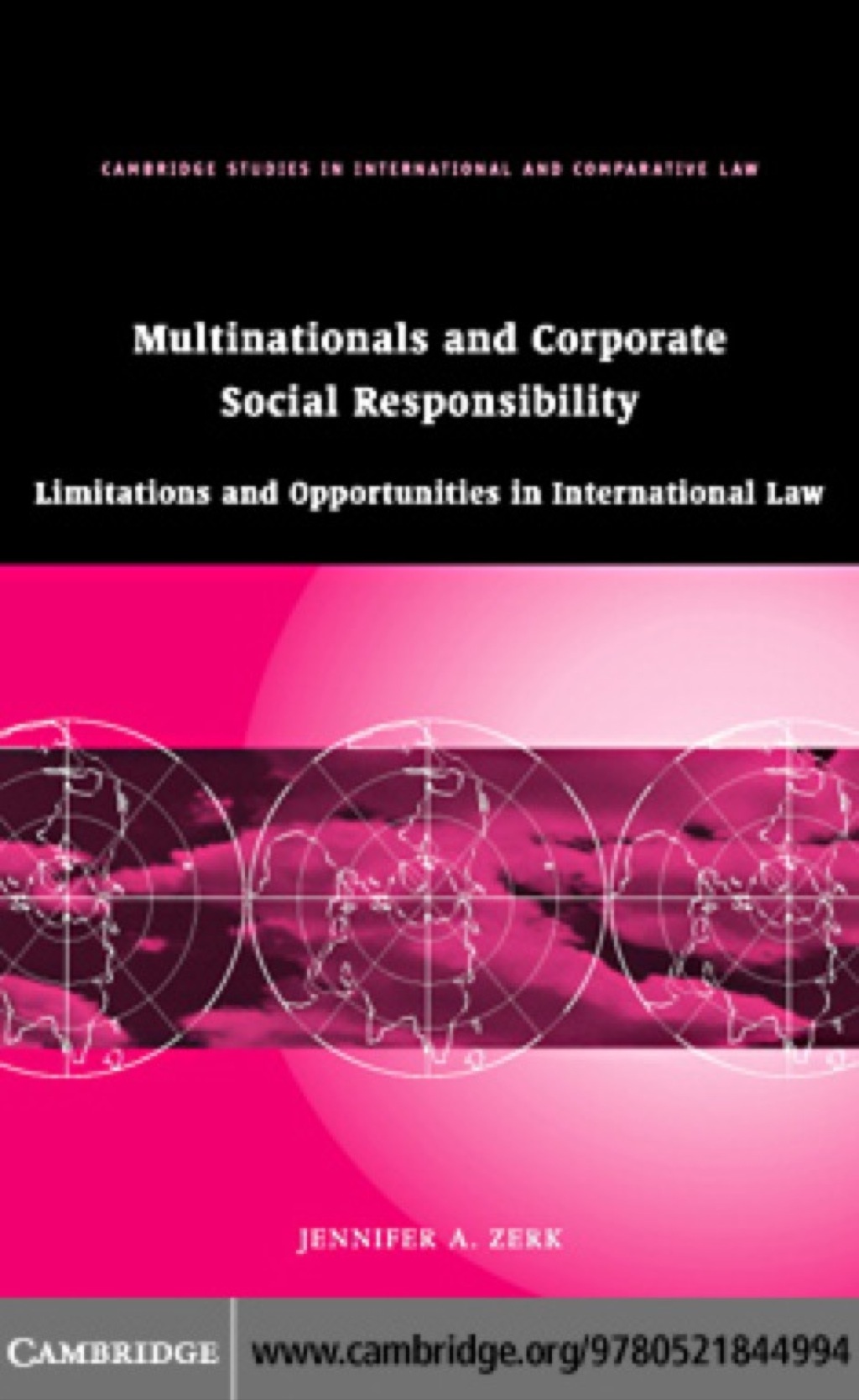 Multinationals and Corporate Social Responsibility Limitations and Opportunities in International Law 1st Edition â€“ PDF/EPUB Version Downloadable