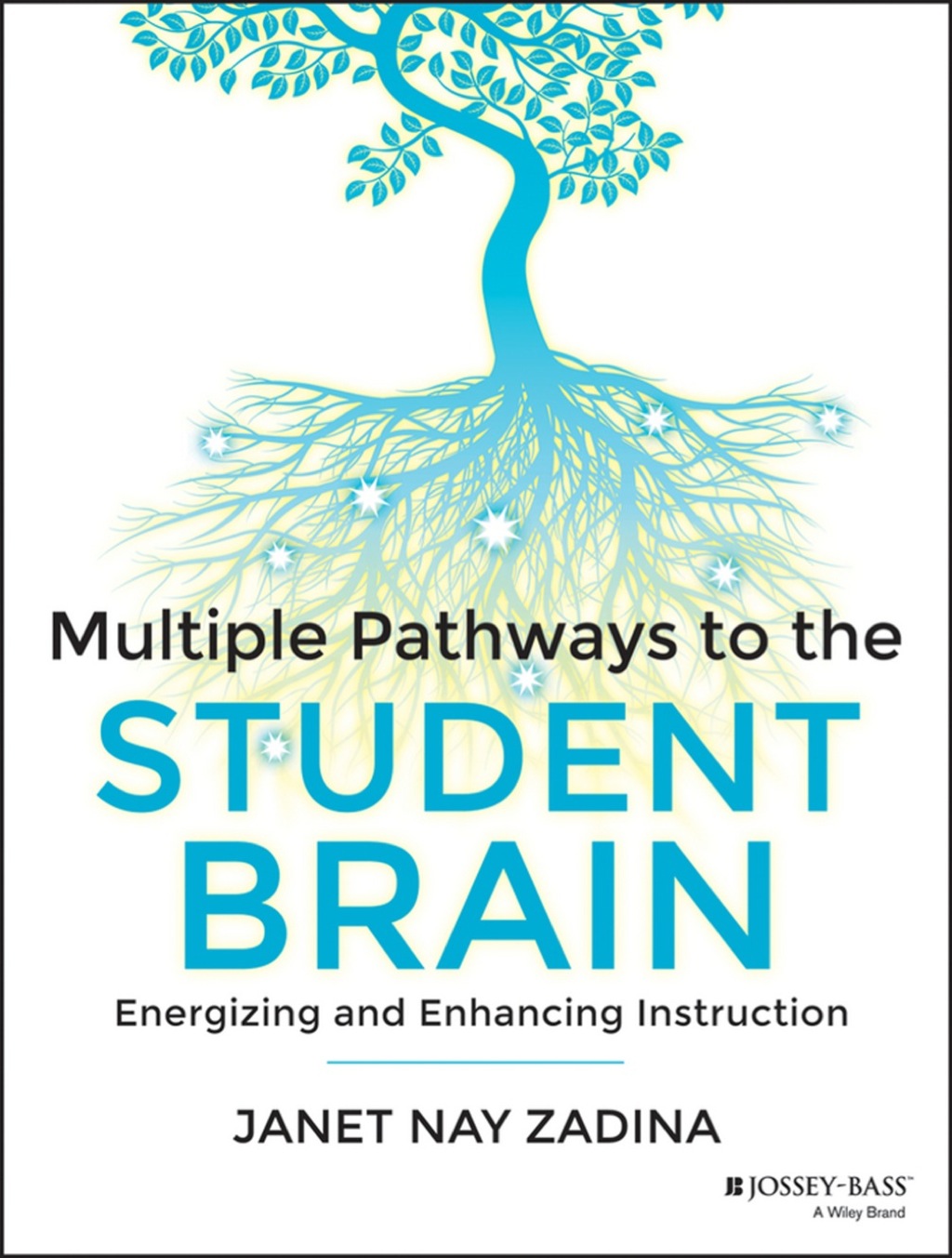 Multiple Pathways to the Student Brain: Energizing and Enhancing Instruction 1st Edition - (PDF/EPUB Version)