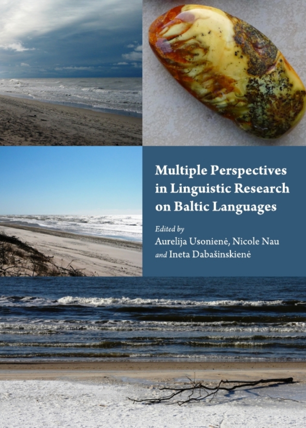 Multiple Perspectives in Linguistic Research on Baltic Languages 1st Edition â€“ PDF/EPUB Version Downloadable