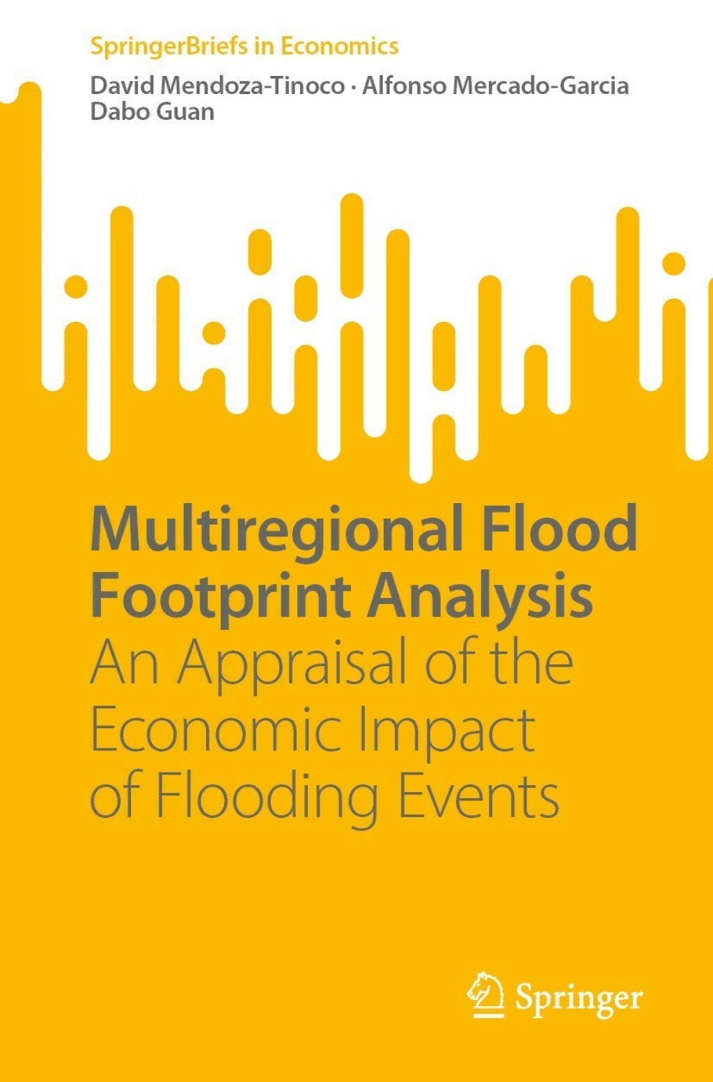 Multiregional Flood Footprint Analysis An Appraisal of the Economic Impact of Flooding Events  â€“ PDF/EPUB Version Downloadable